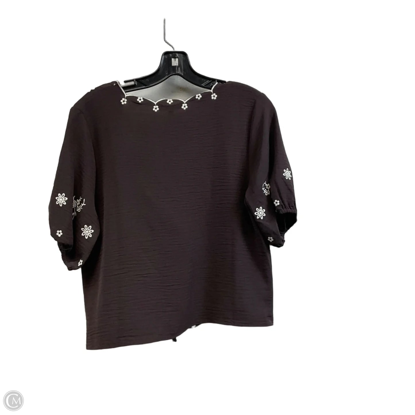 Blouse Short Sleeve By Adrianna Papell In Brown, Size: S
