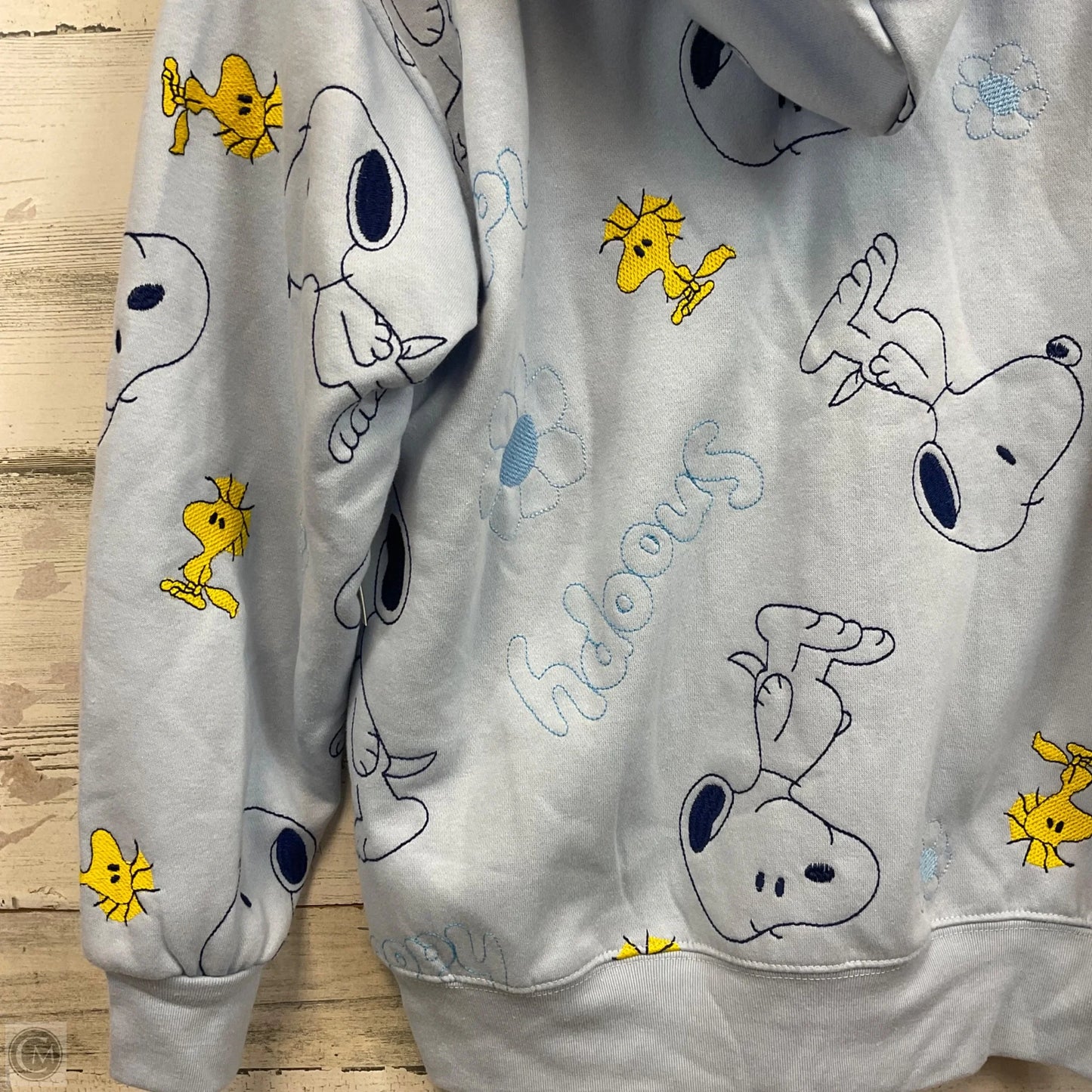 Sweatshirt Hoodie By Peanuts In Blue, Size: Xs