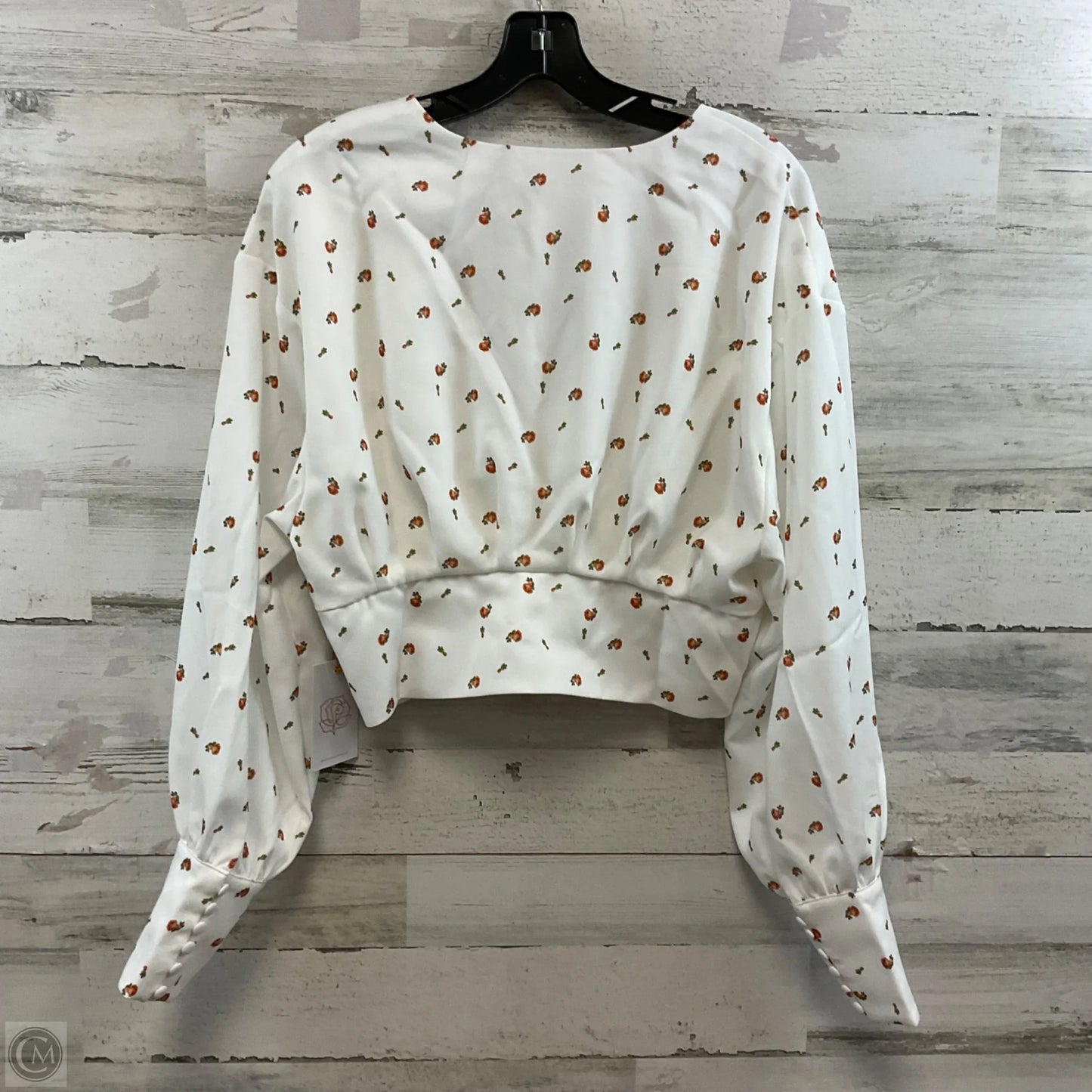 Blouse Long Sleeve By BACKYARD ROSES In White, Size: L