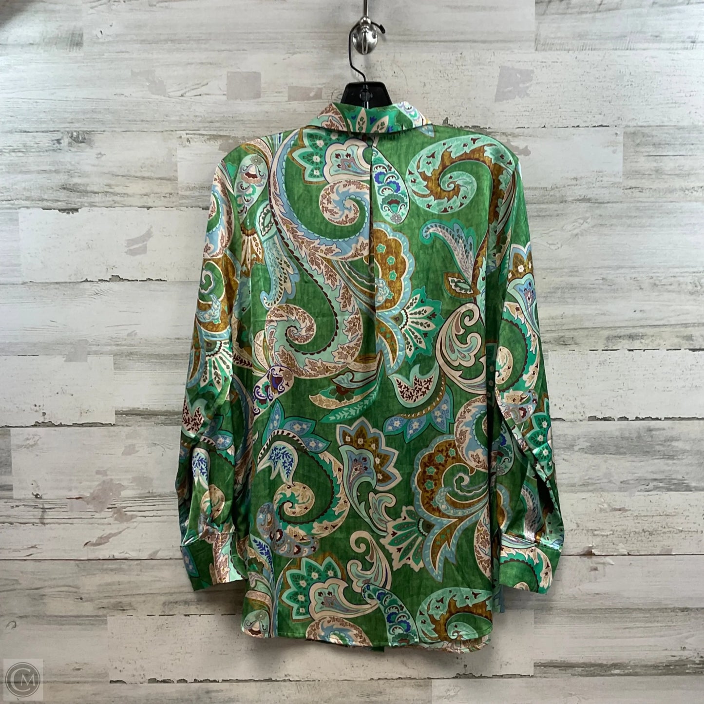 Blouse Long Sleeve By HAVER In Green, Size: M