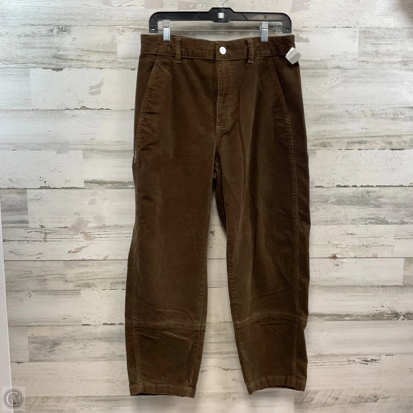 Pants Corduroy By Everlane In Brown, Size: 10