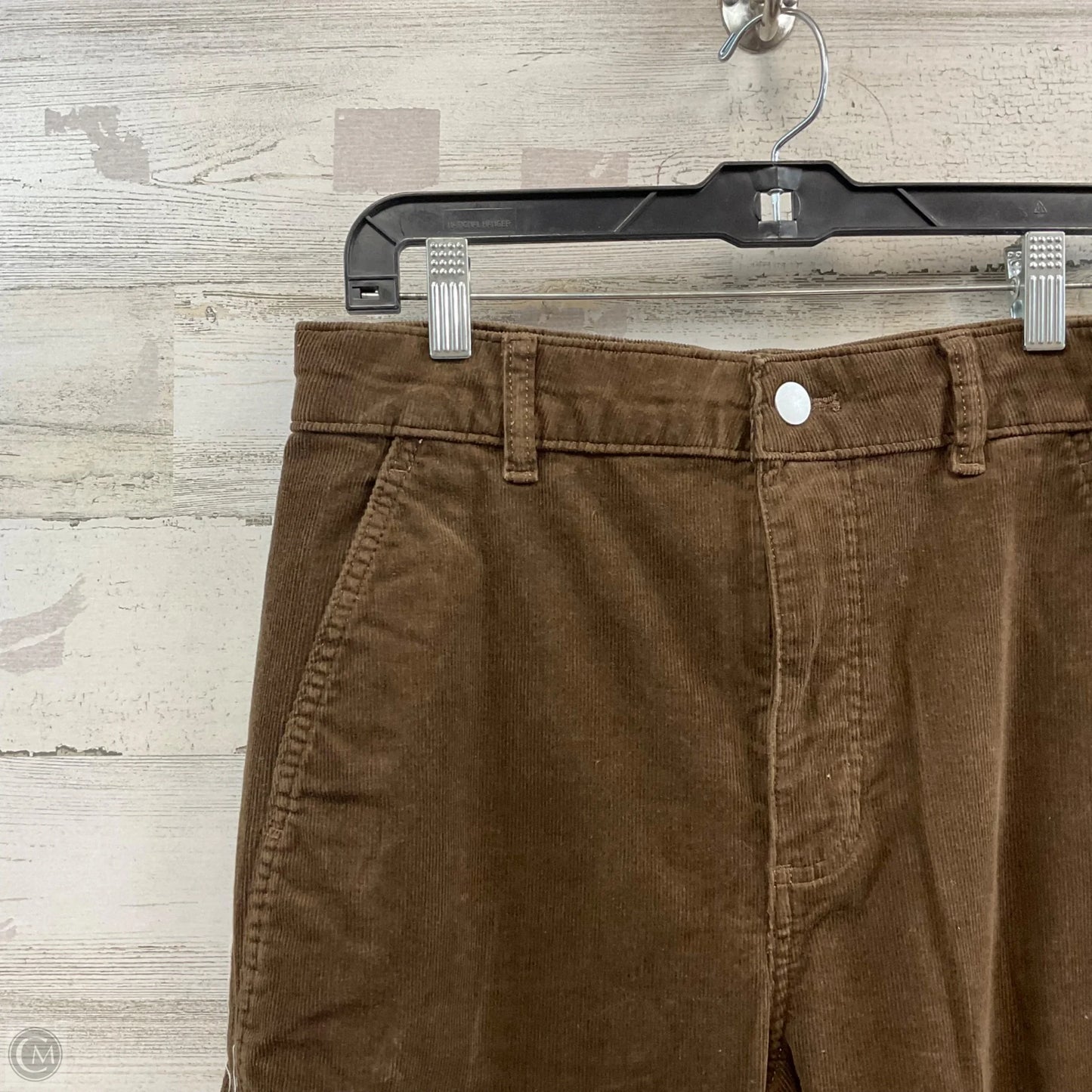 Pants Corduroy By Everlane In Brown, Size: 10