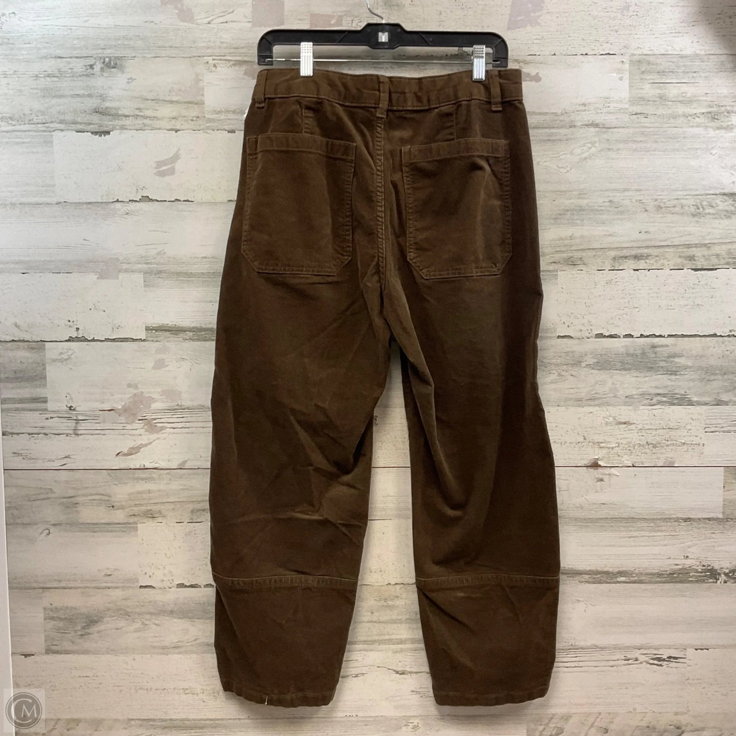 Pants Corduroy By Everlane In Brown, Size: 10