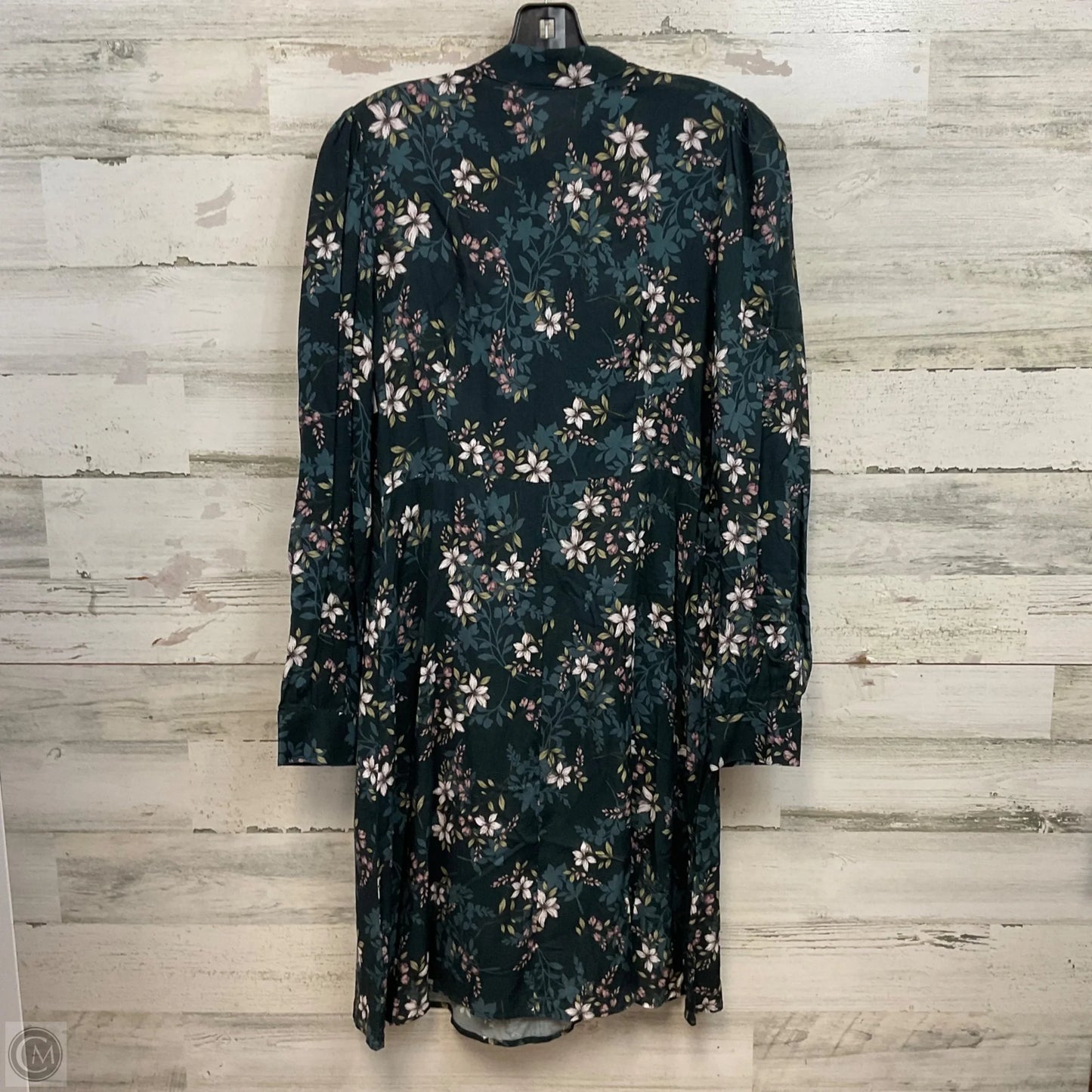 Dress Casual Short By Velvet By Graham & Spencer In Black, Size: M