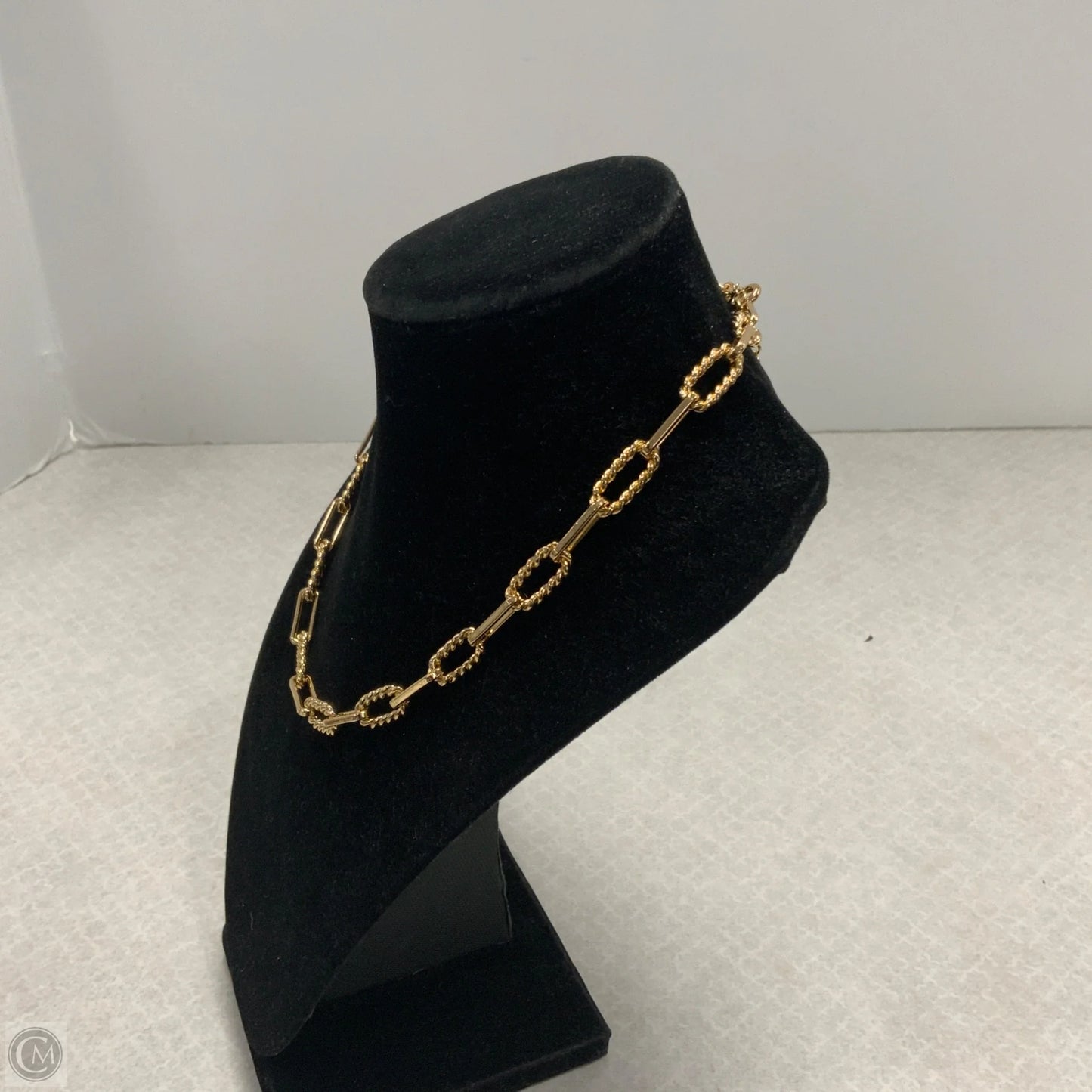 Necklace Chain By Loft