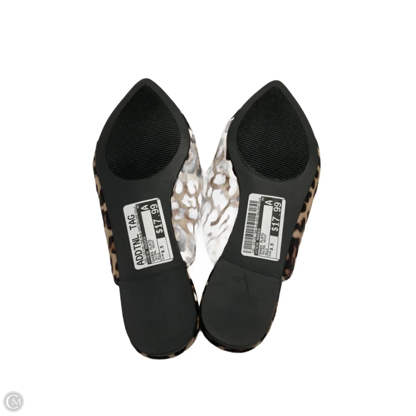 Shoes Flats By Steve Madden In Animal Print, Size: 8.5