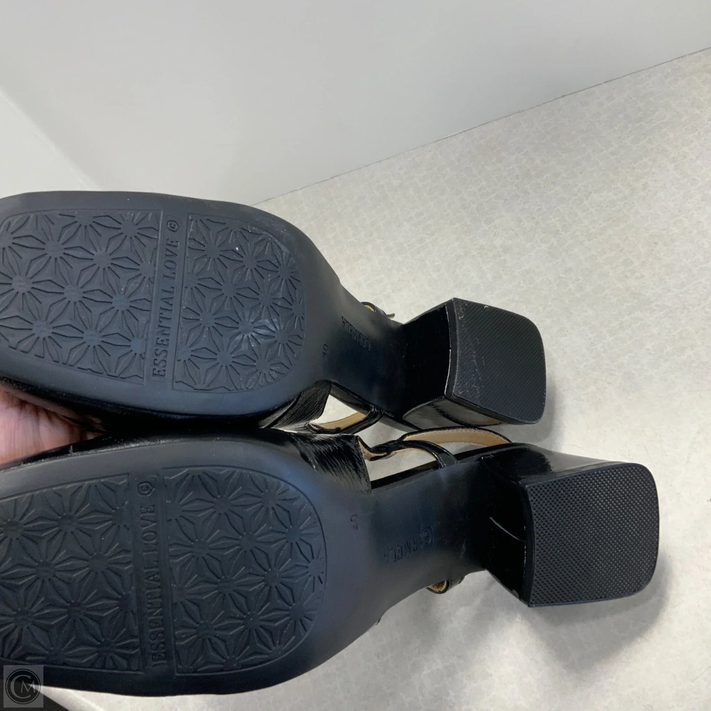 Shoes Heels Block By Carmela In Black, Size: 9