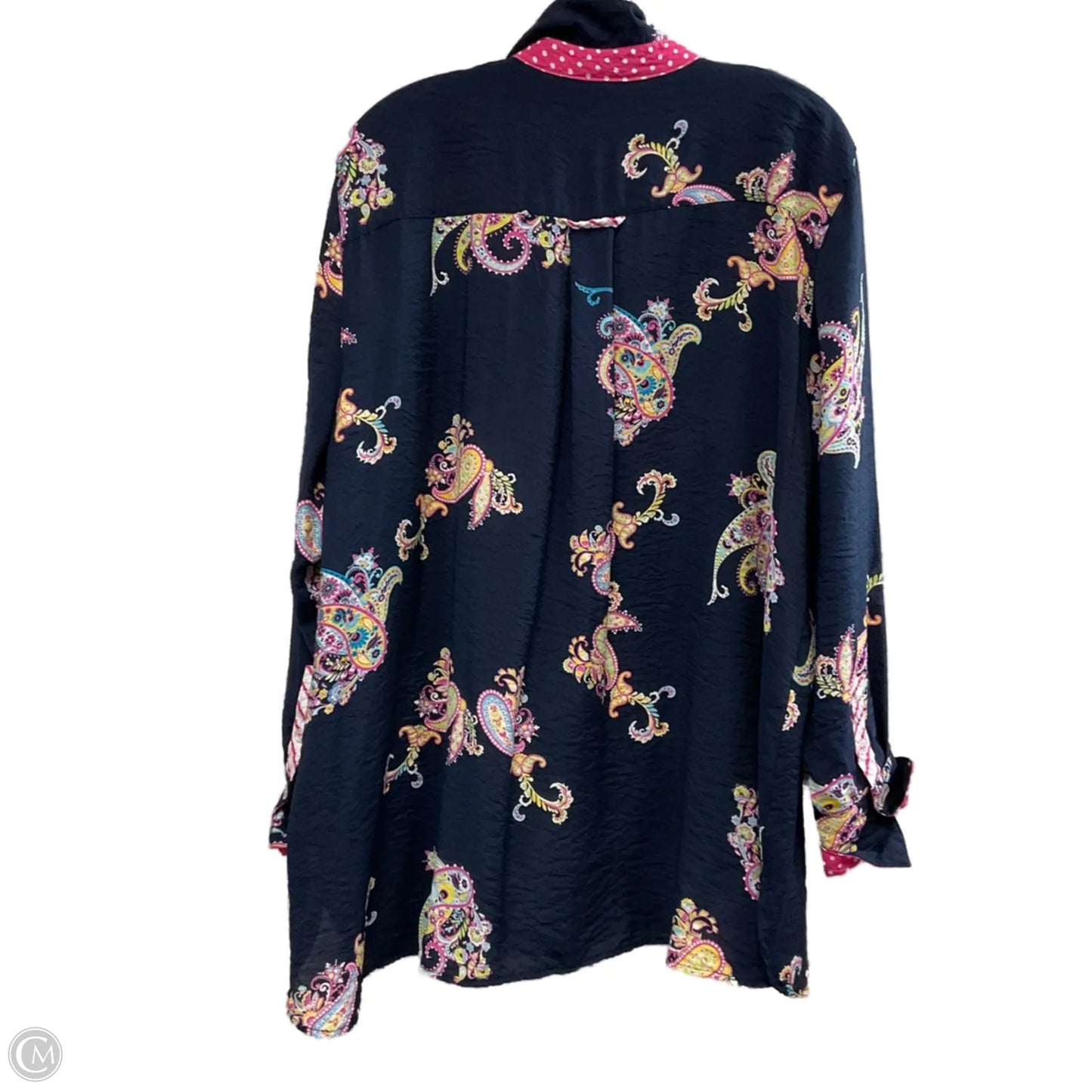 Top Long Sleeve By Multiples In Blue, Size: 1x