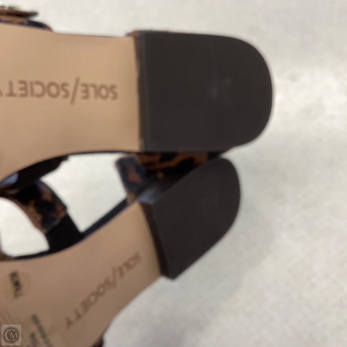 Shoes Flats By Sole Society In Animal Print, Size: 7.5