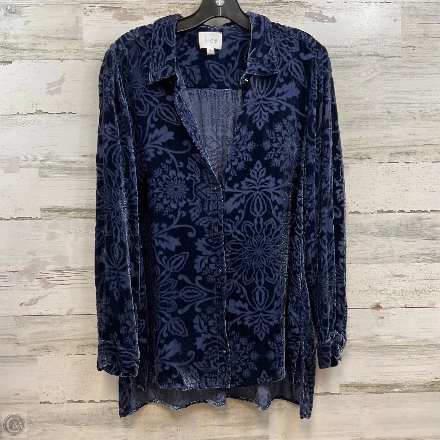Blouse Long Sleeve By Jade In Blue, Size: M