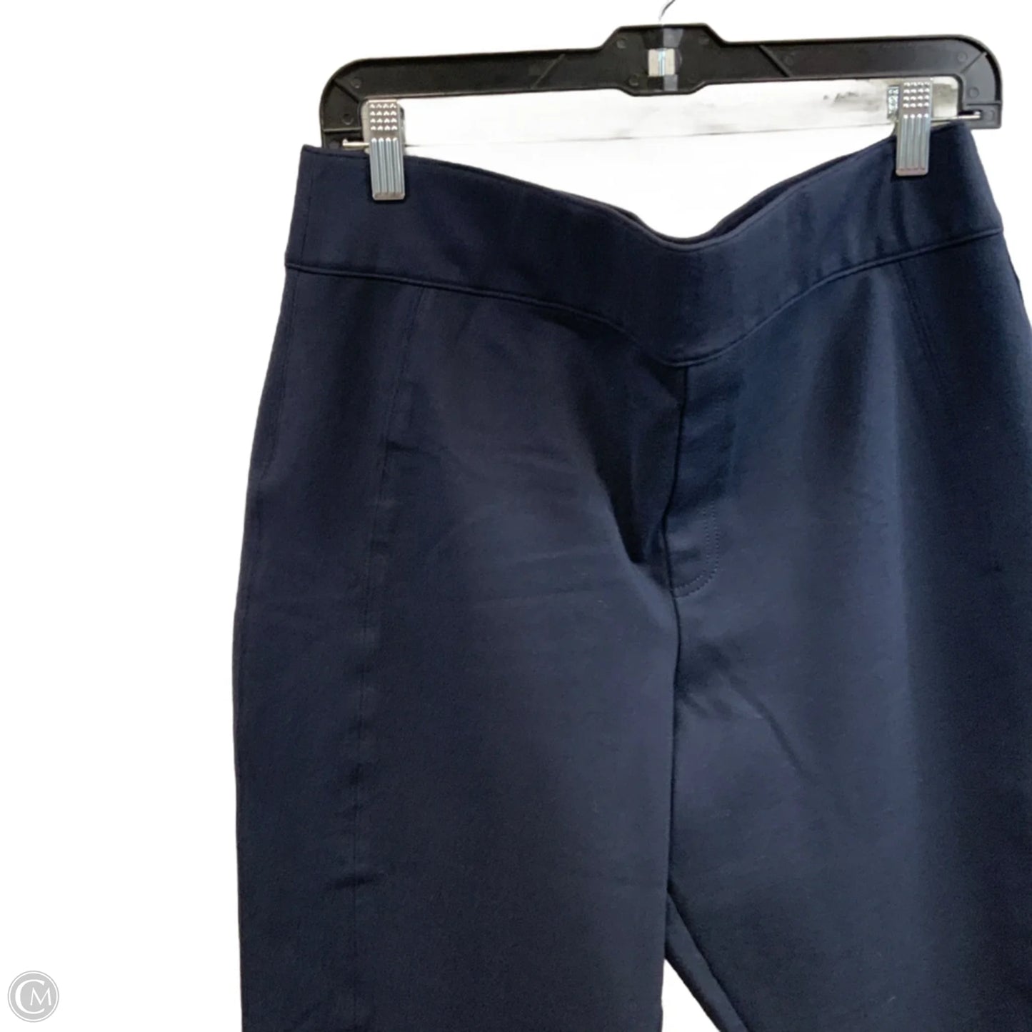 Pants Other By Spanx In Blue, Size: 1x