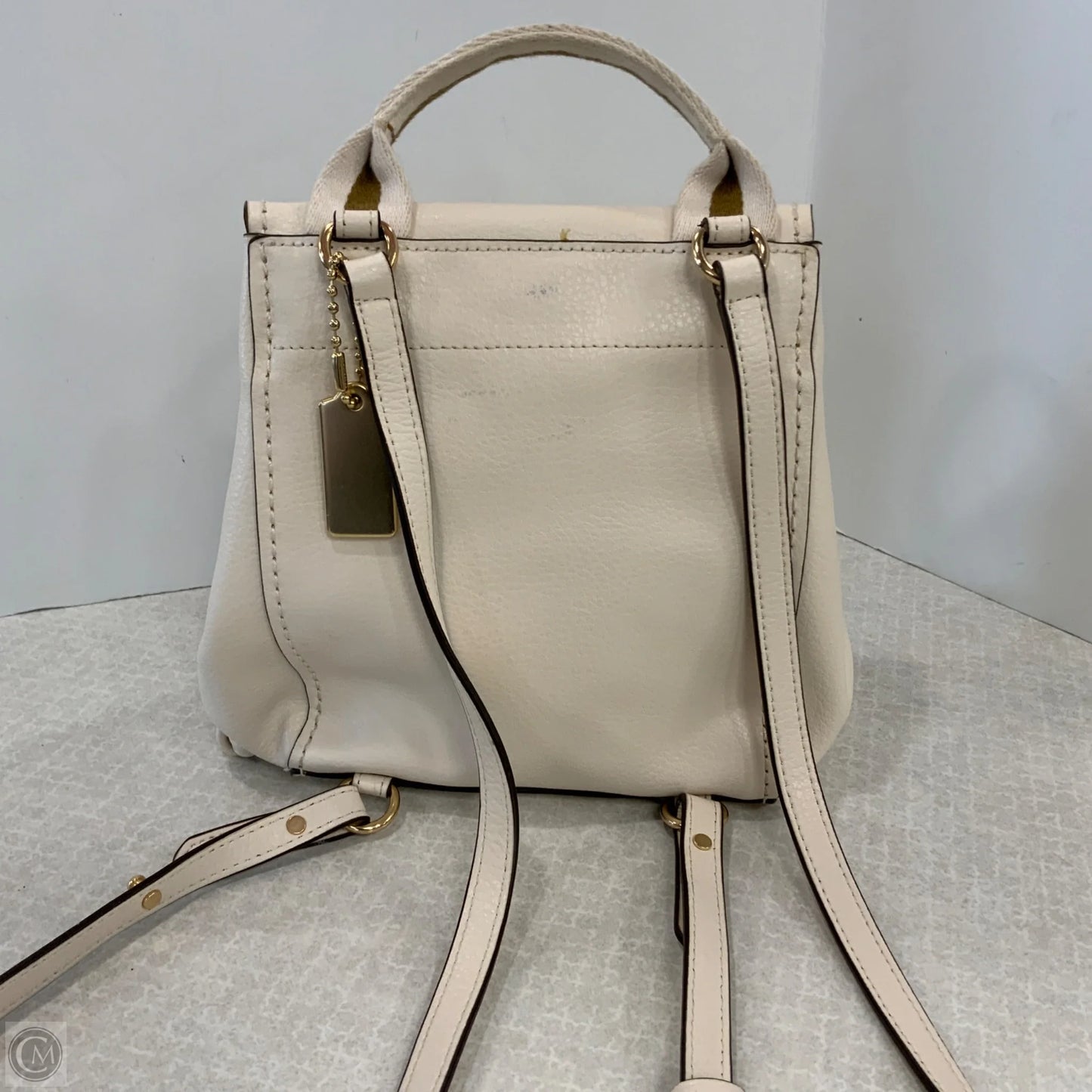 Backpack Designer By Coach, Size: Small