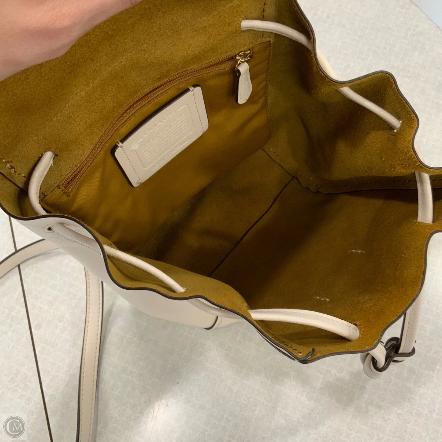 Backpack Designer By Coach, Size: Small