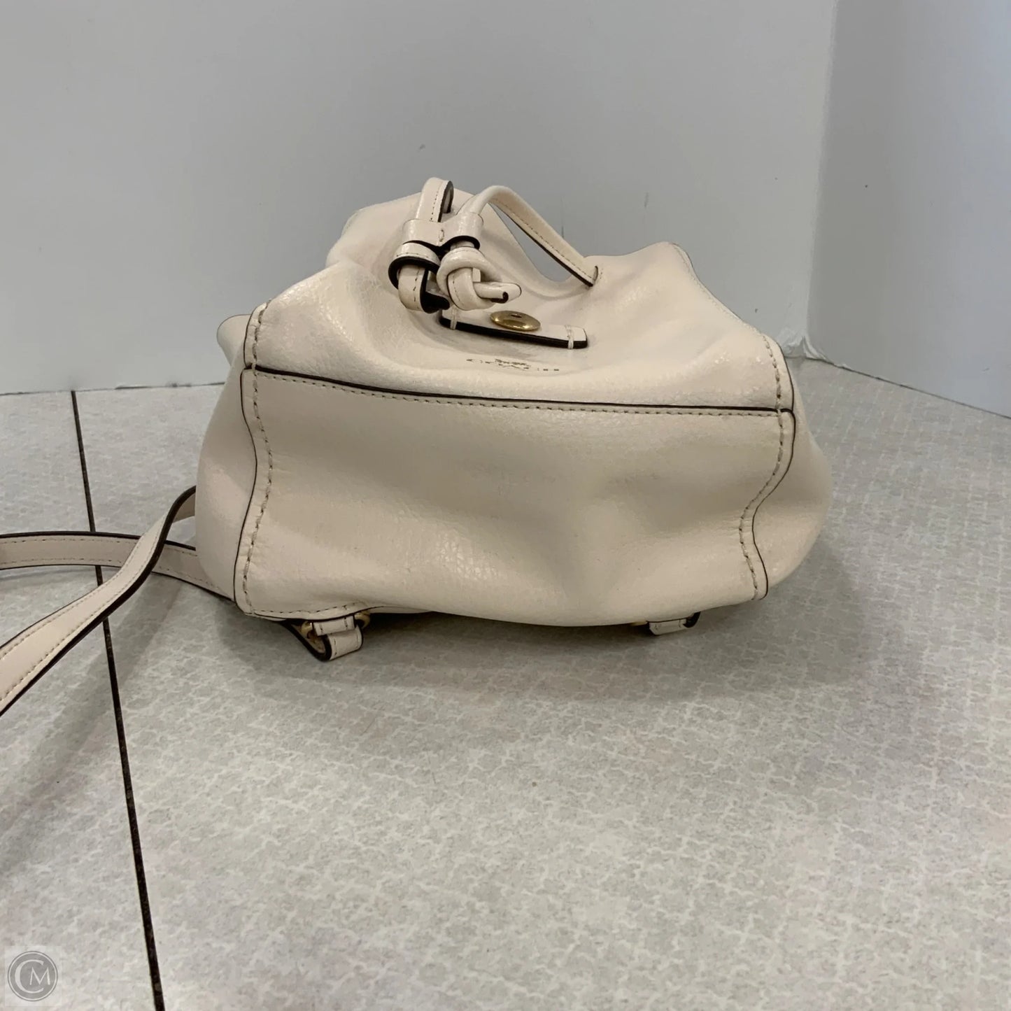 Backpack Designer By Coach, Size: Small