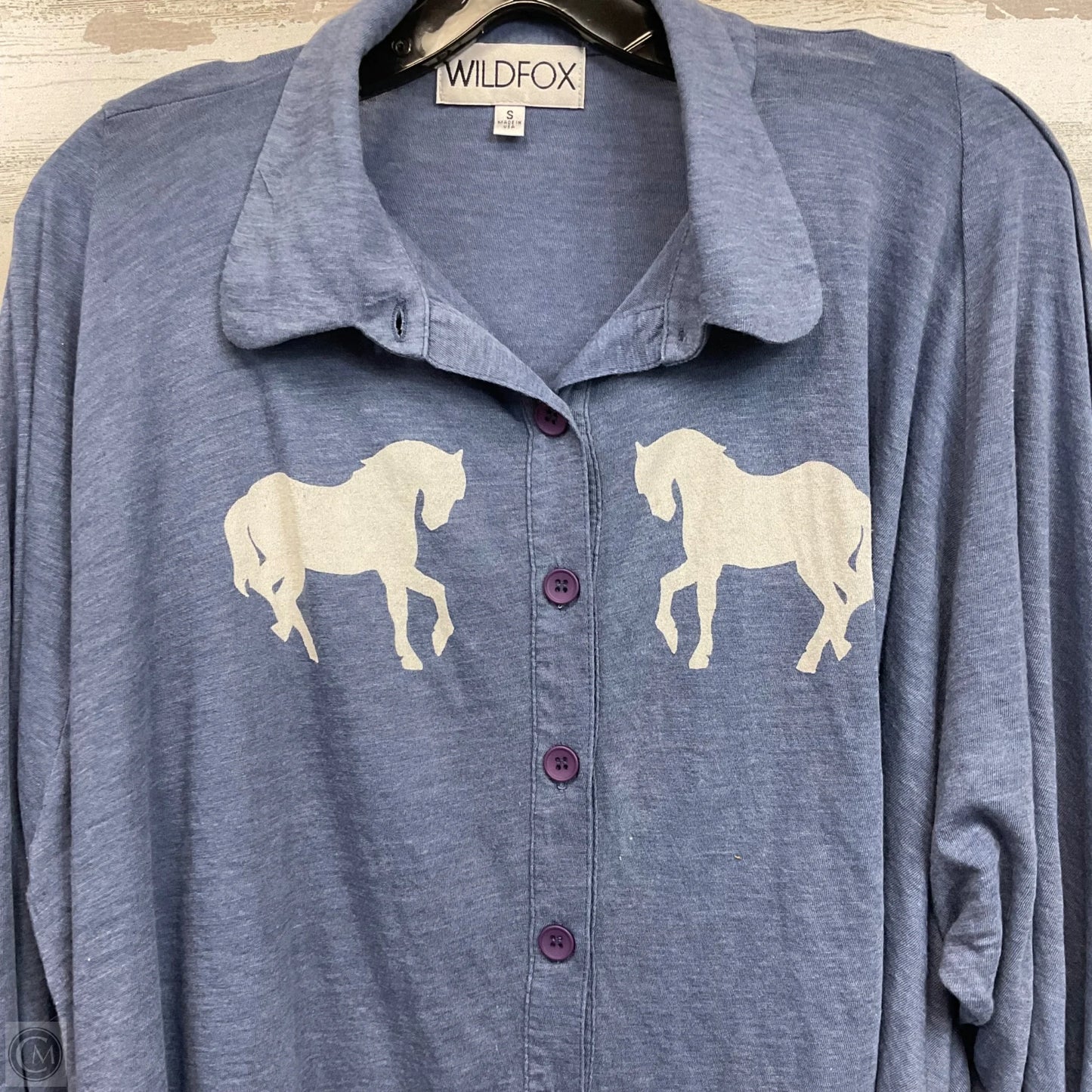 Top Long Sleeve By Wildfox In Blue, Size: S