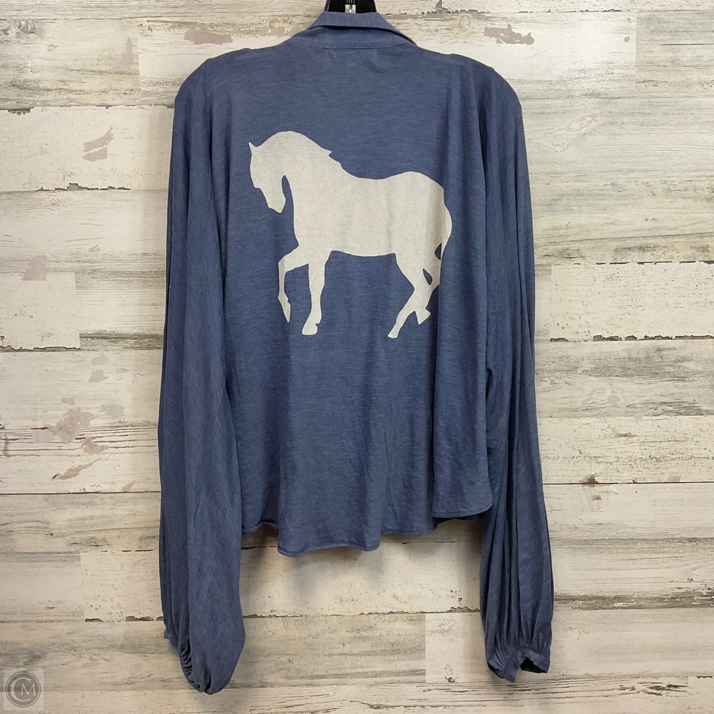 Top Long Sleeve By Wildfox In Blue, Size: S