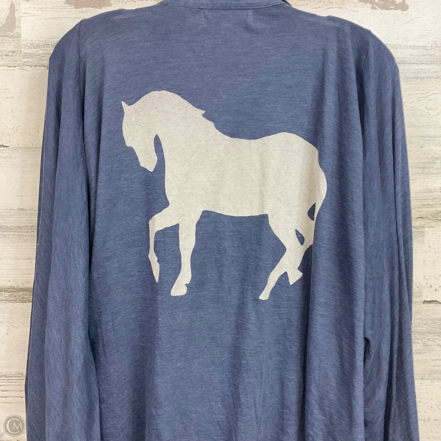 Top Long Sleeve By Wildfox In Blue, Size: S