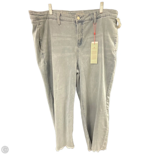 Jeans Wide Leg By Laurie Felt In Blue Denim, Size: 22