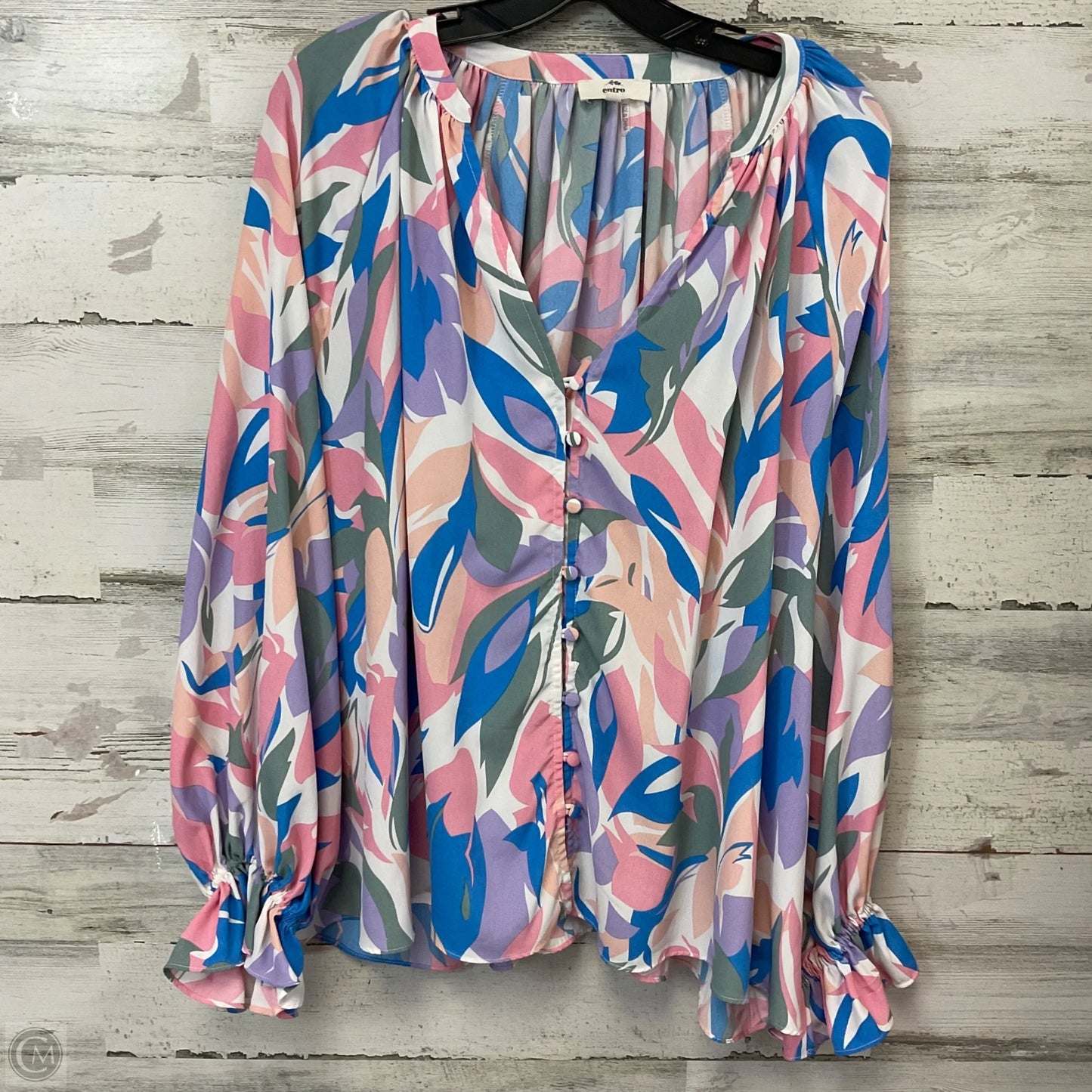 Blouse Long Sleeve By Entro In Blue, Size: L