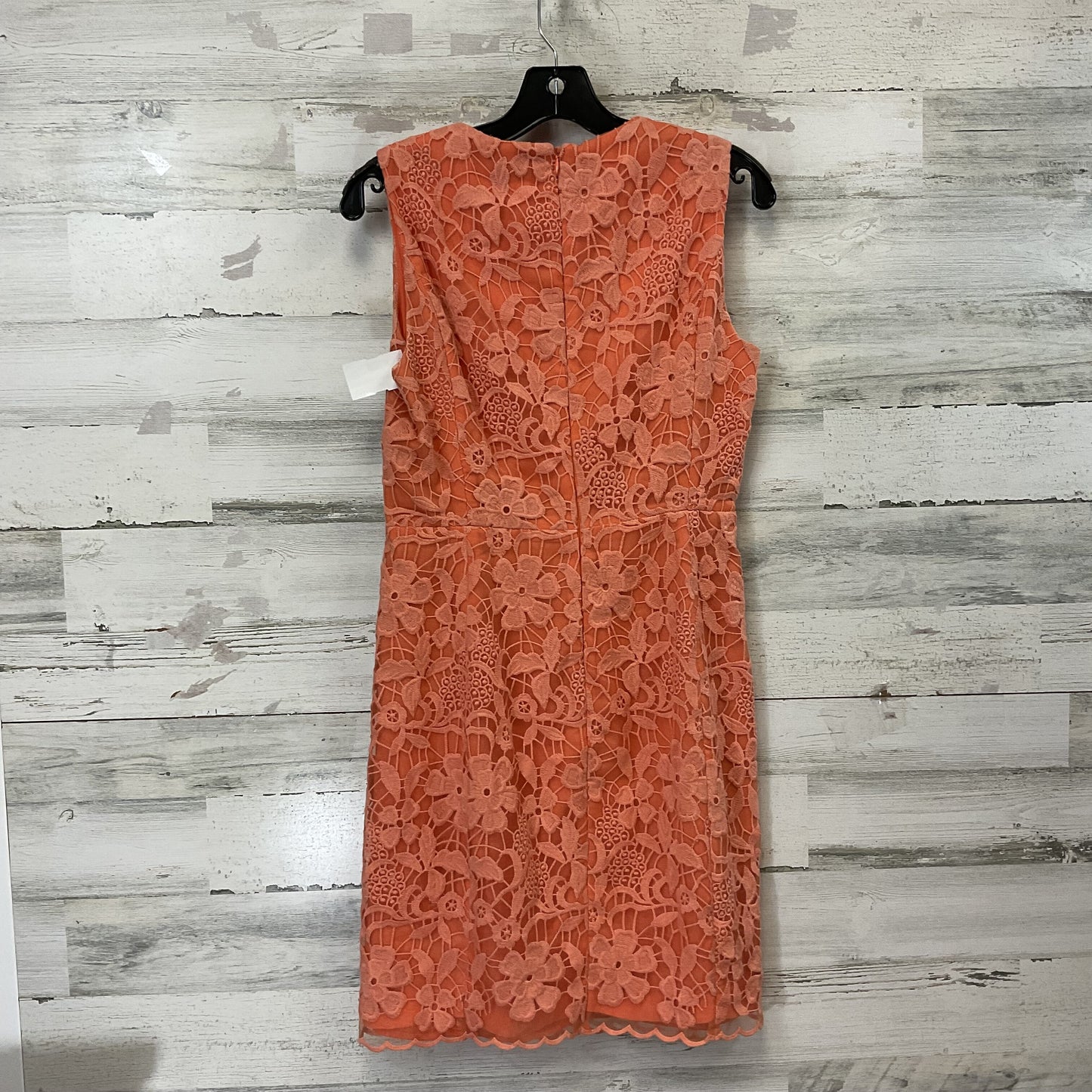 Dress Party Short By Badgley Mischka  Size: S