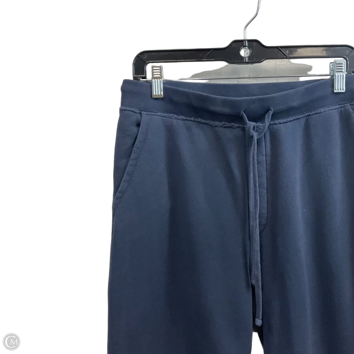 Pants Other By NILI LOTAN In Blue, Size: M
