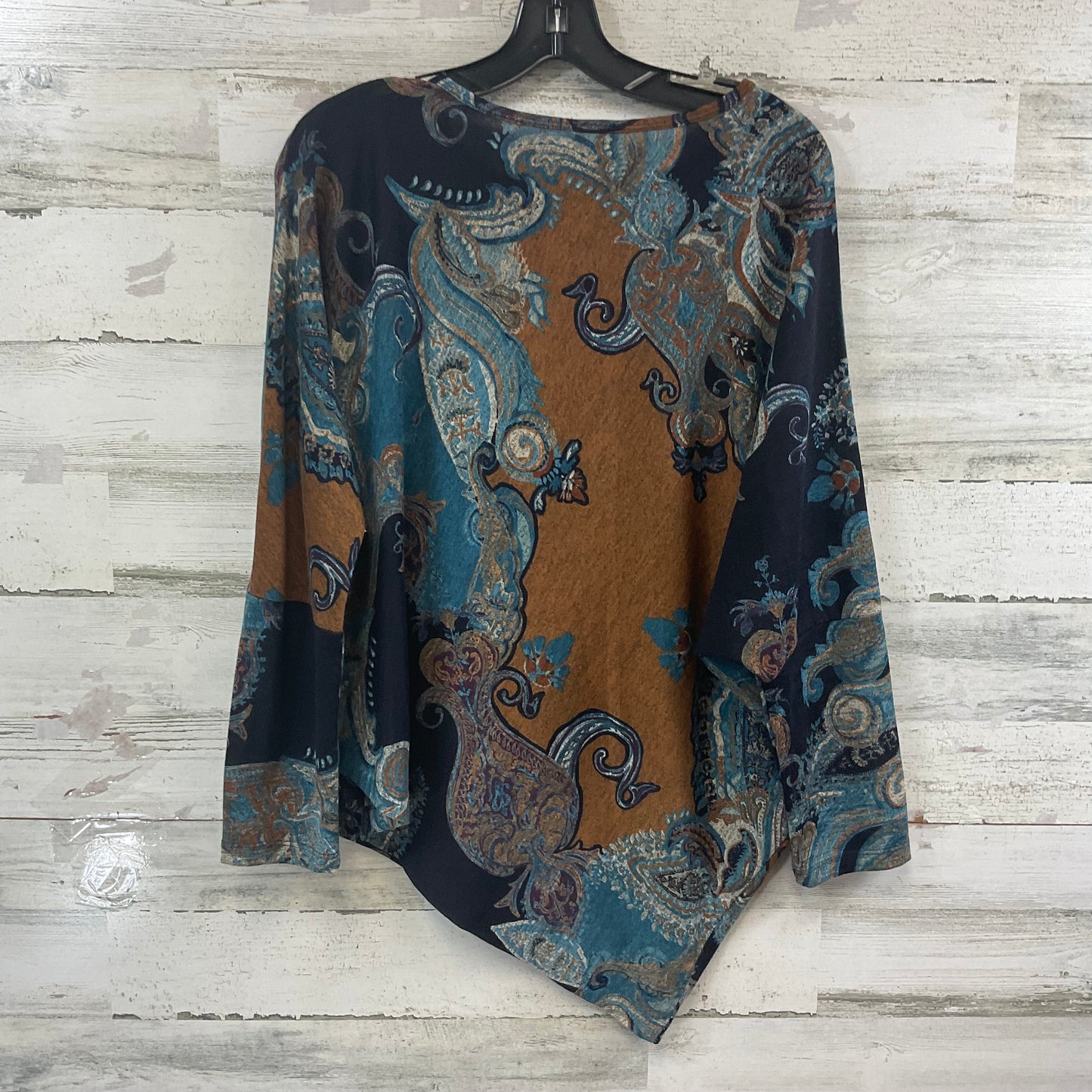 Top Long Sleeve By CLARA SUN WOO In Blue & Brown, Size: L