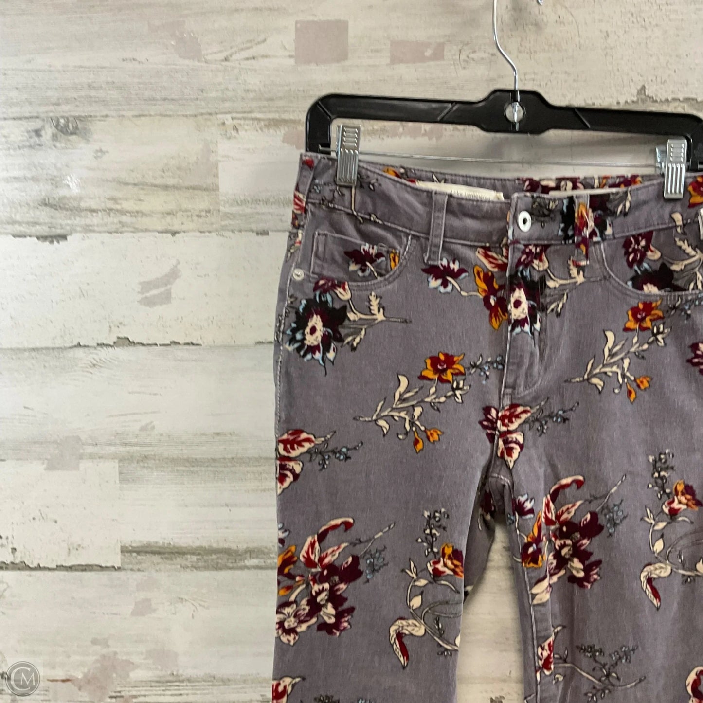 Pants Corduroy By Pilcro In Grey, Size: 6