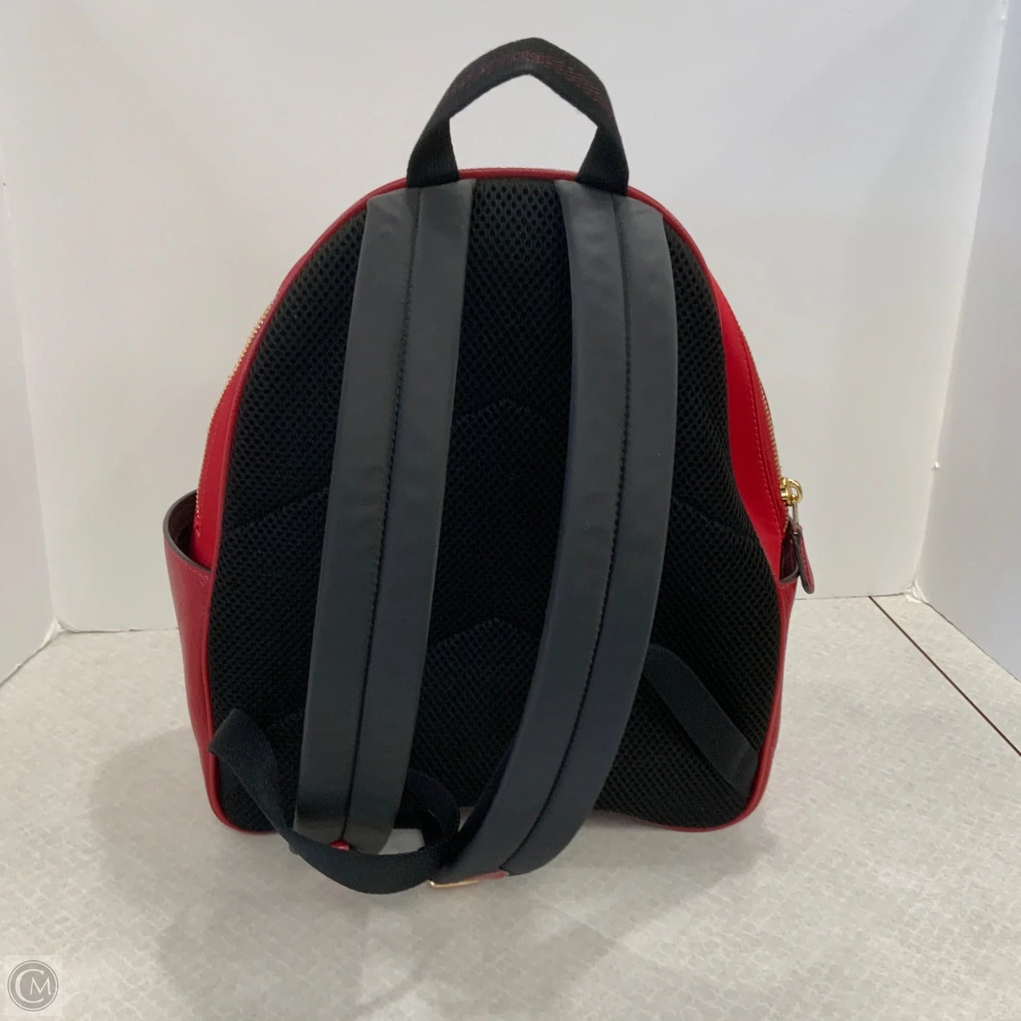 Backpack Designer By Coach, Size: Large