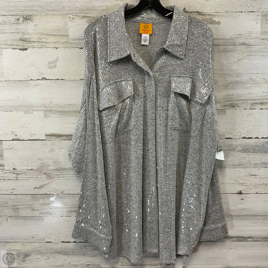 Blouse Long Sleeve By Ruby Rd In Silver, Size: 2x