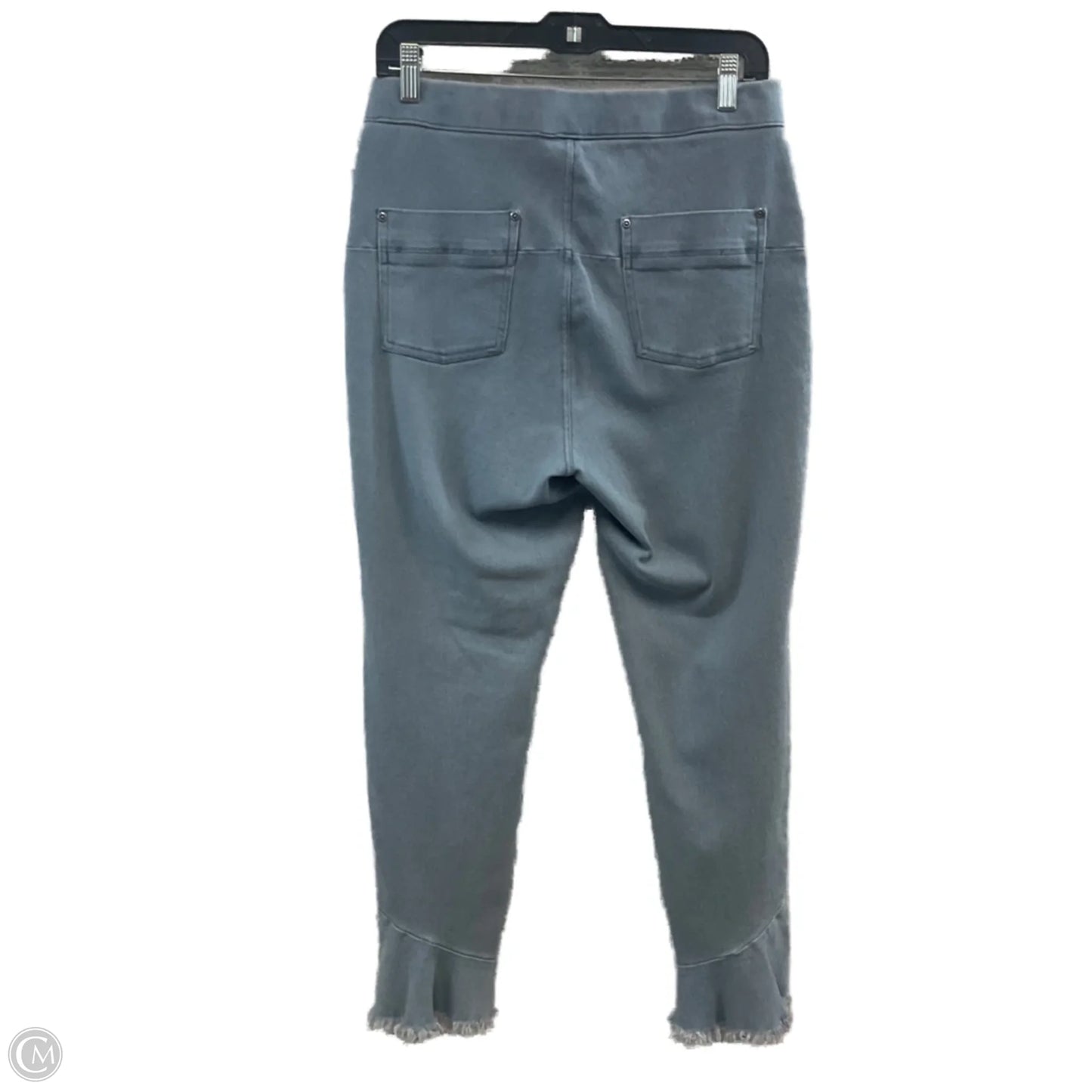 Jeans Jeggings By Hue In Blue Denim, Size: L