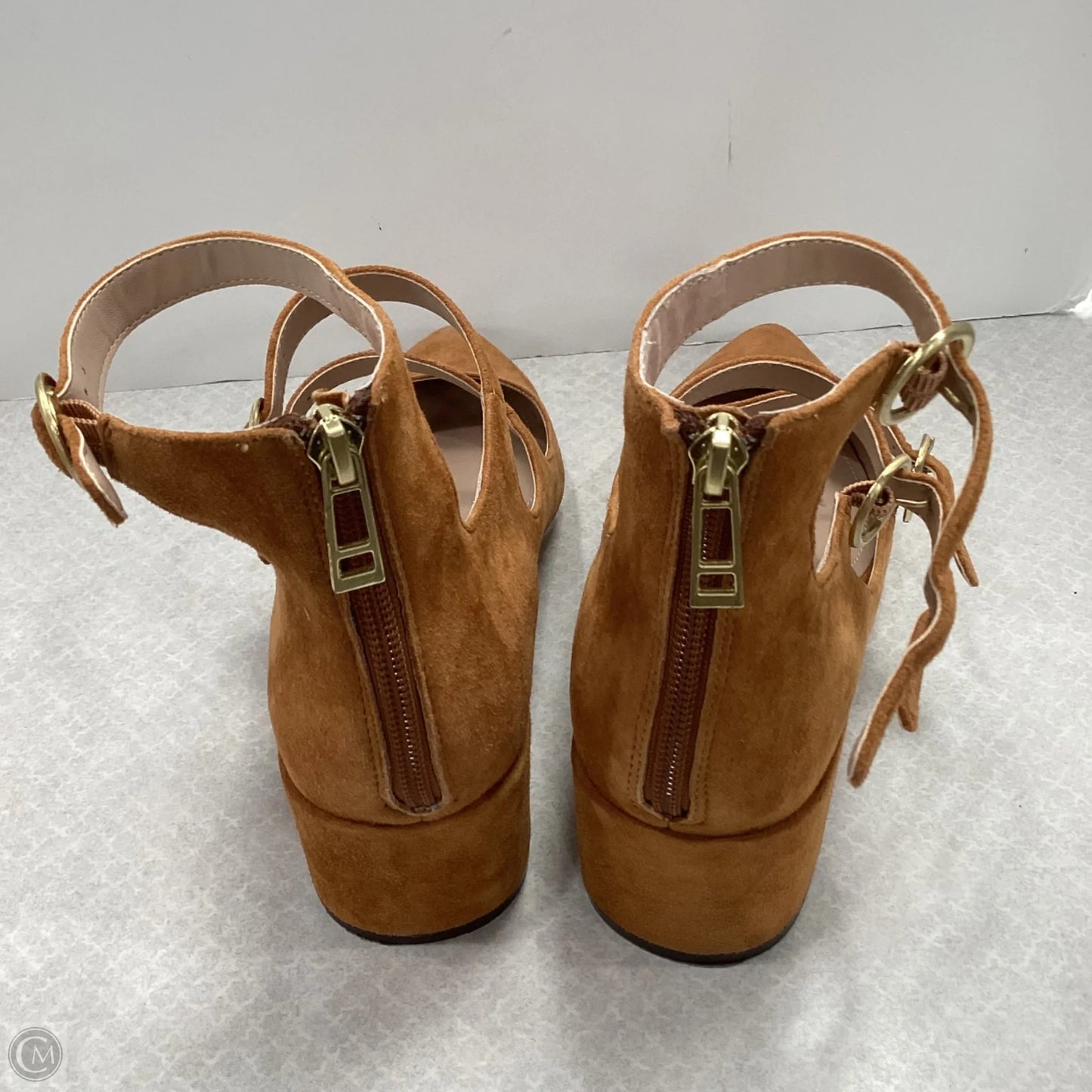 Shoes Heels Block By Charles By Charles David In Brown, Size: 10
