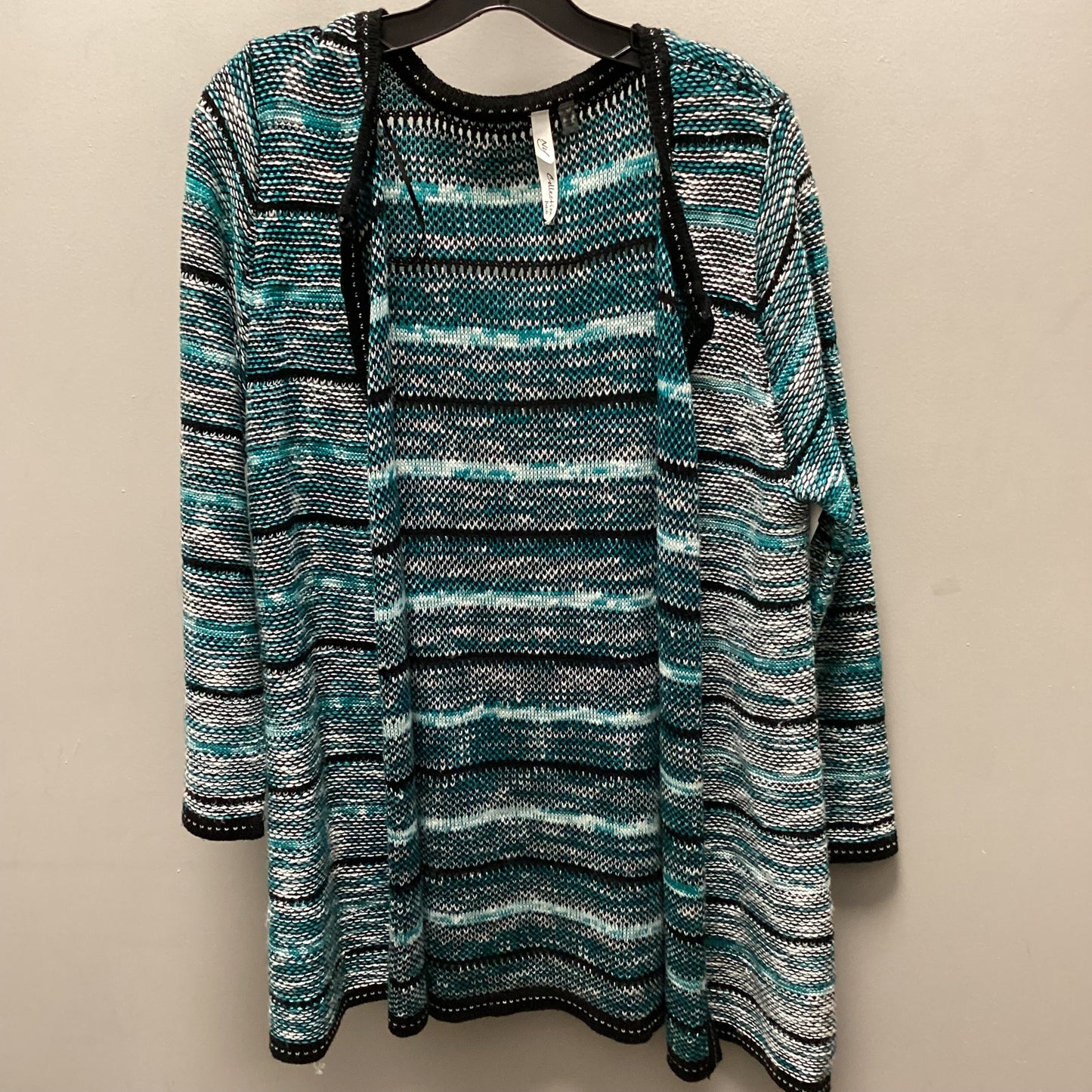 Sweater Cardigan By Ny Collection In Blue, Size: Petite   Xl