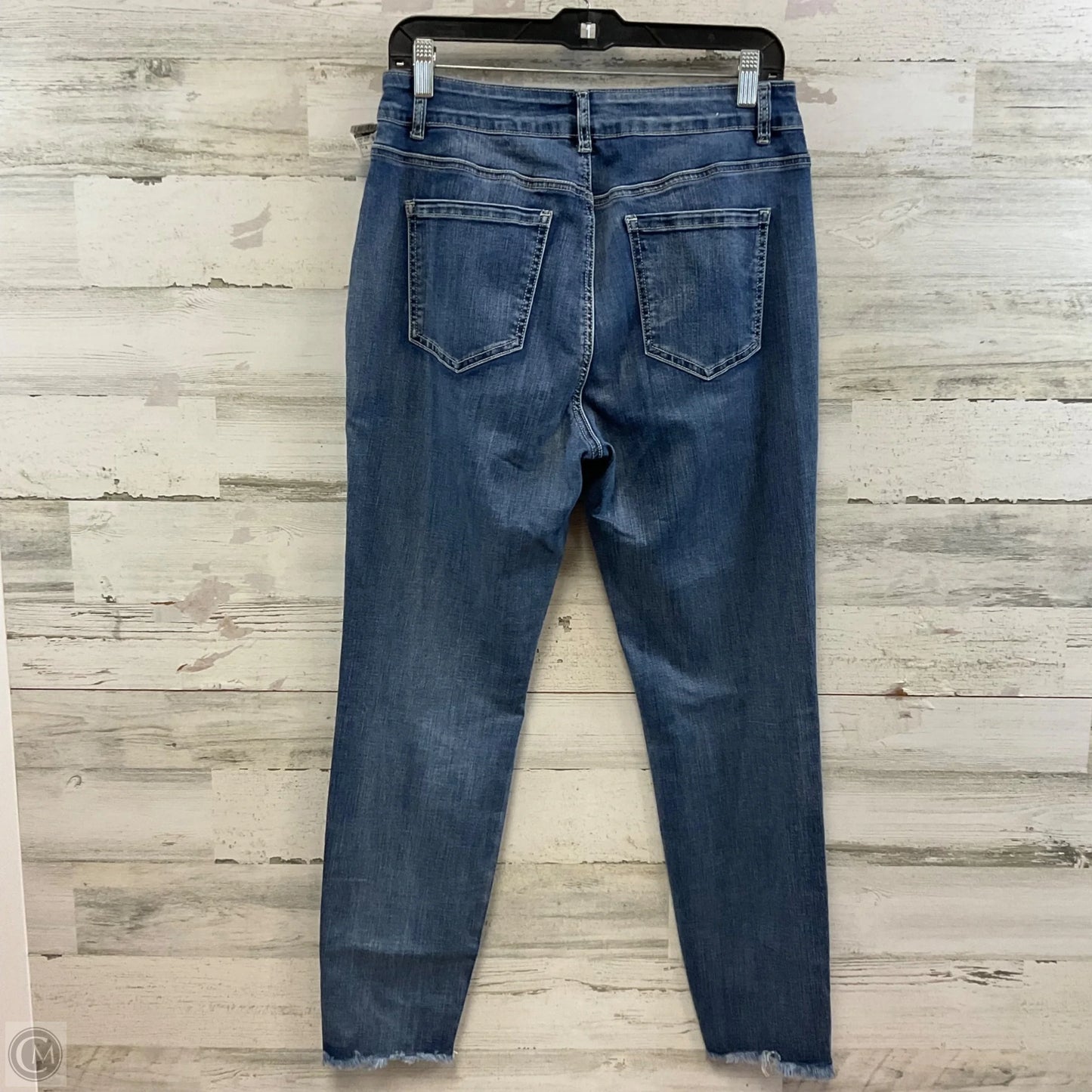 Jeans Skinny By Ethyl In Blue Denim, Size: 10