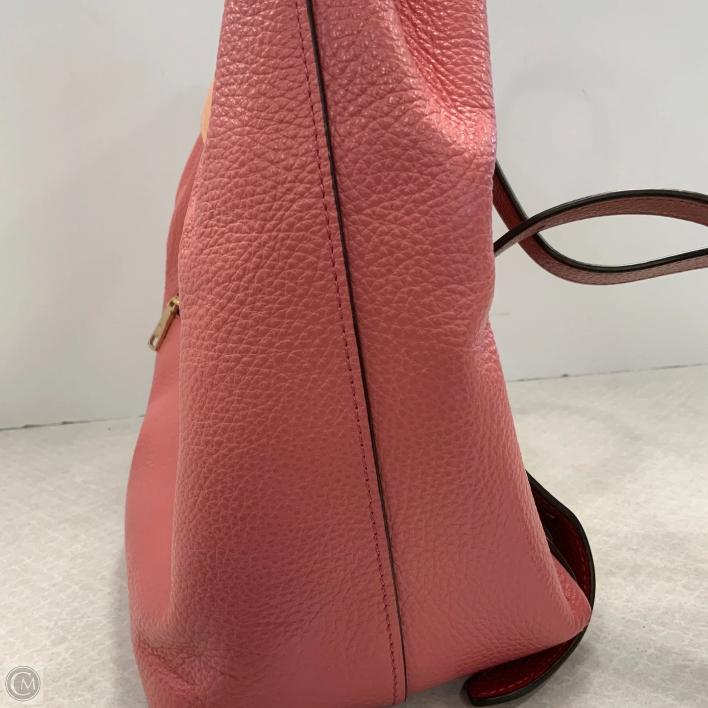 Backpack Designer By Coach, Size: Large