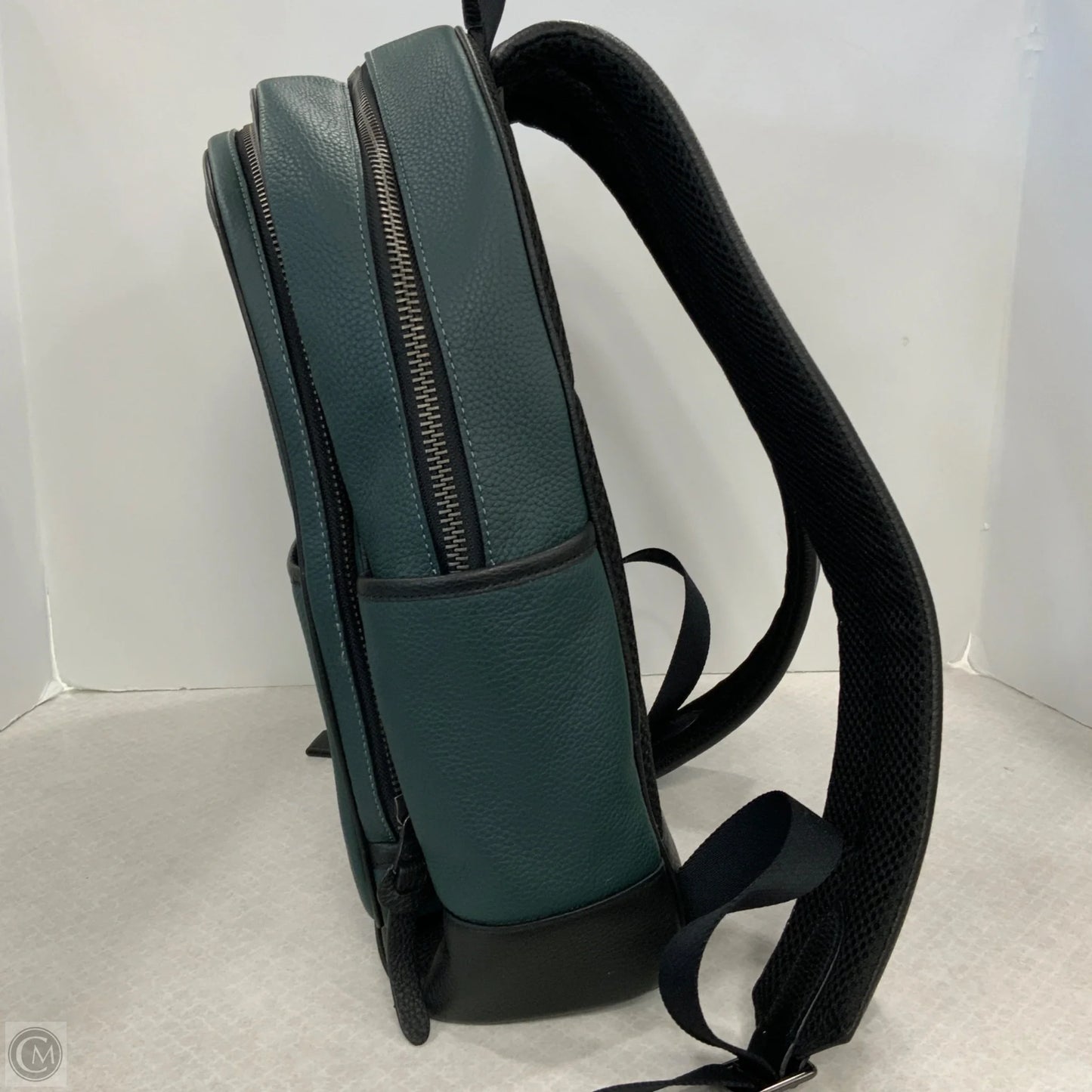 Backpack Designer By Coach, Size: Large