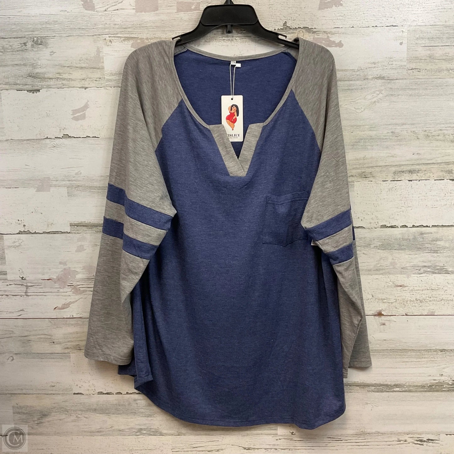 Top Long Sleeve By Vislily In Blue, Size: 2x