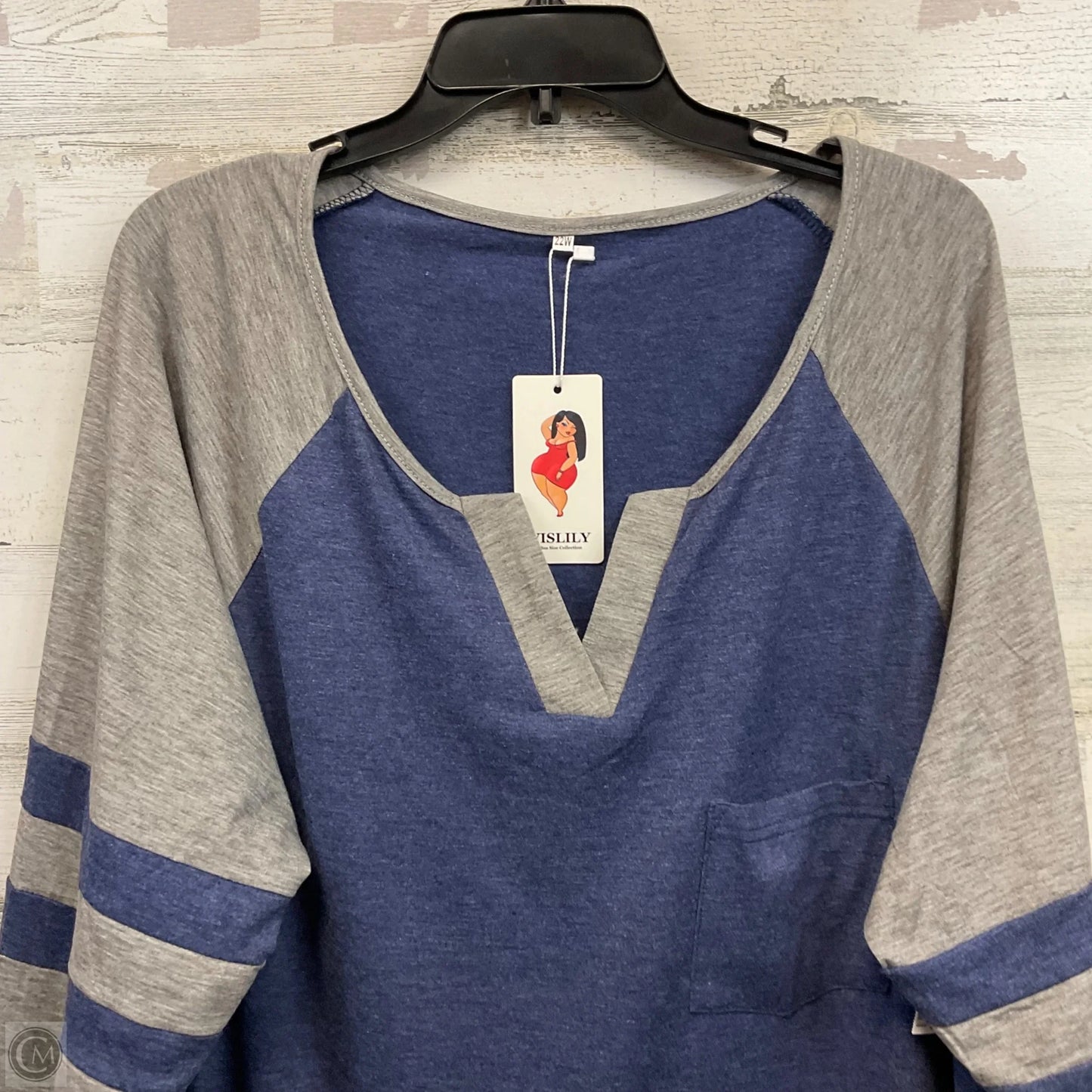 Top Long Sleeve By Vislily In Blue, Size: 2x