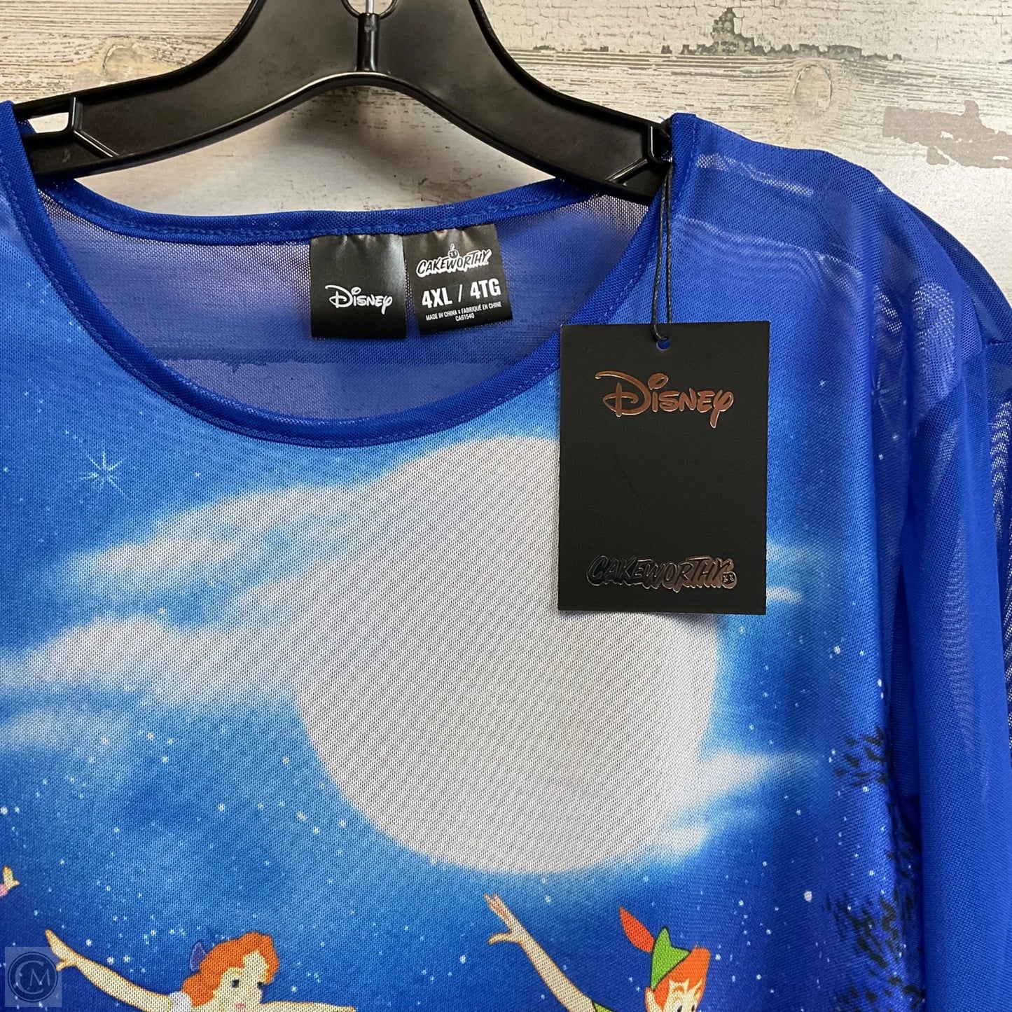 Top Long Sleeve By Disney In Blue, Size: 4x