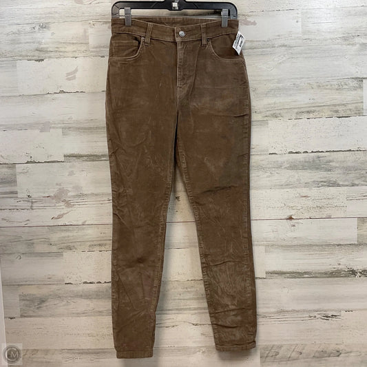 Pants Corduroy By Patagonia In Brown, Size: 6