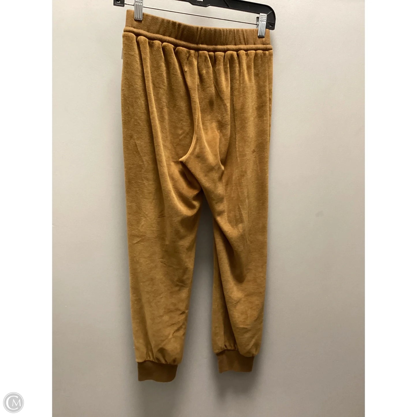 Pants Set 2pc By Madewell In Brown, Size: Xs