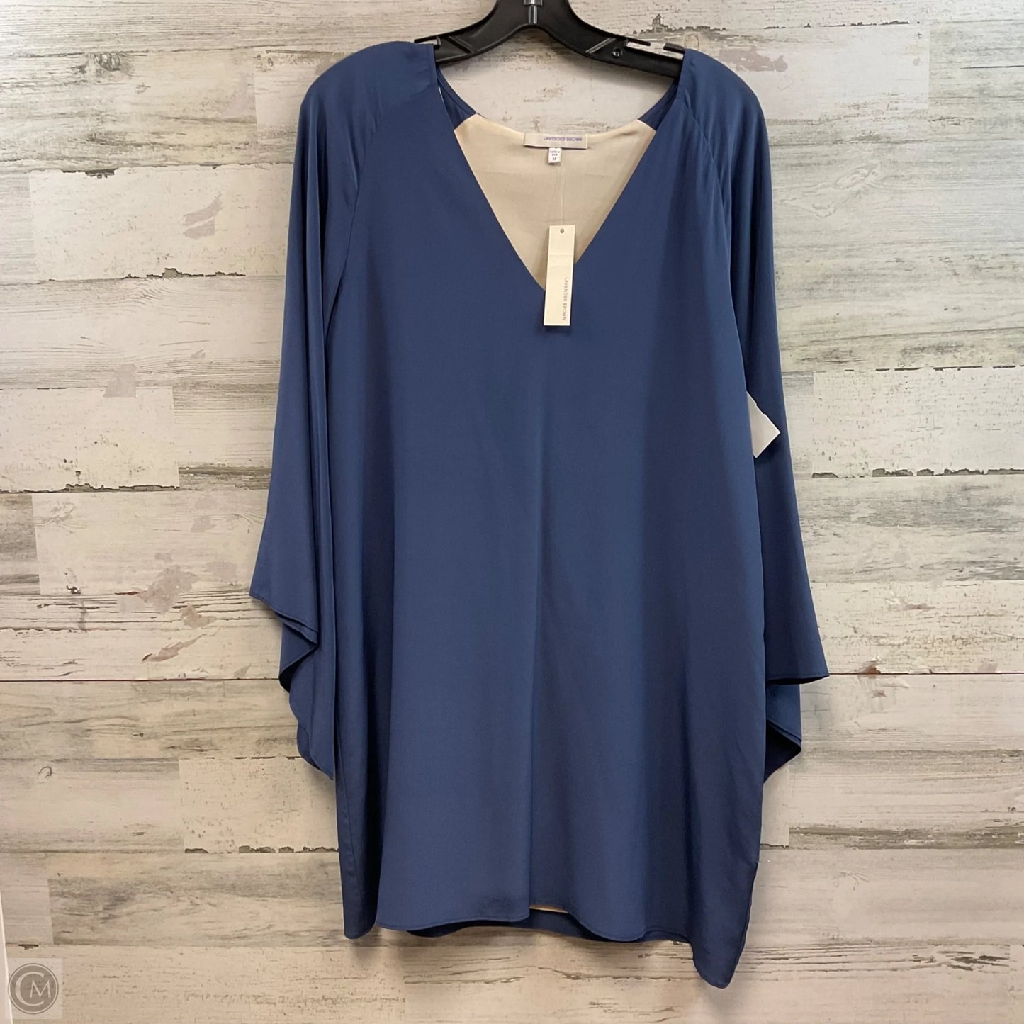Tunic Long Sleeve By LAVENDER BROWN In Blue, Size: M