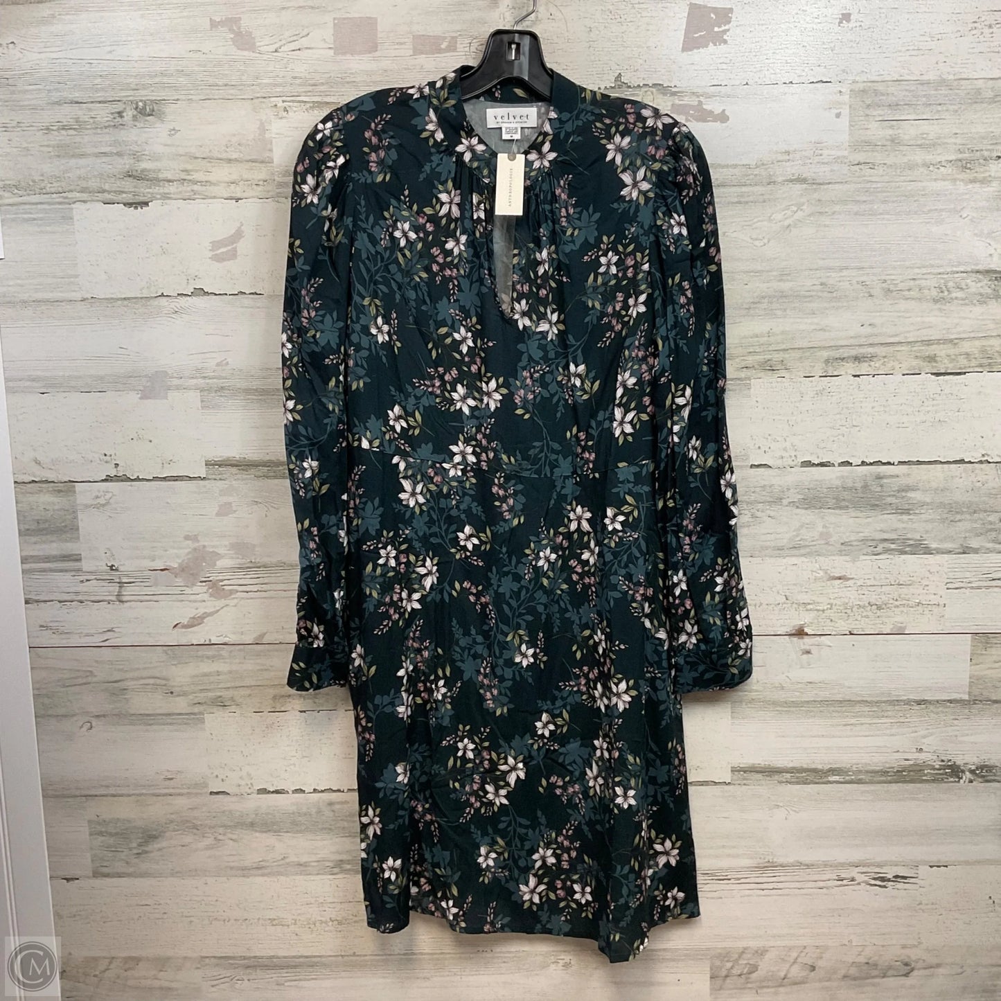 Dress Casual Short By Velvet By Graham & Spencer In Black, Size: M