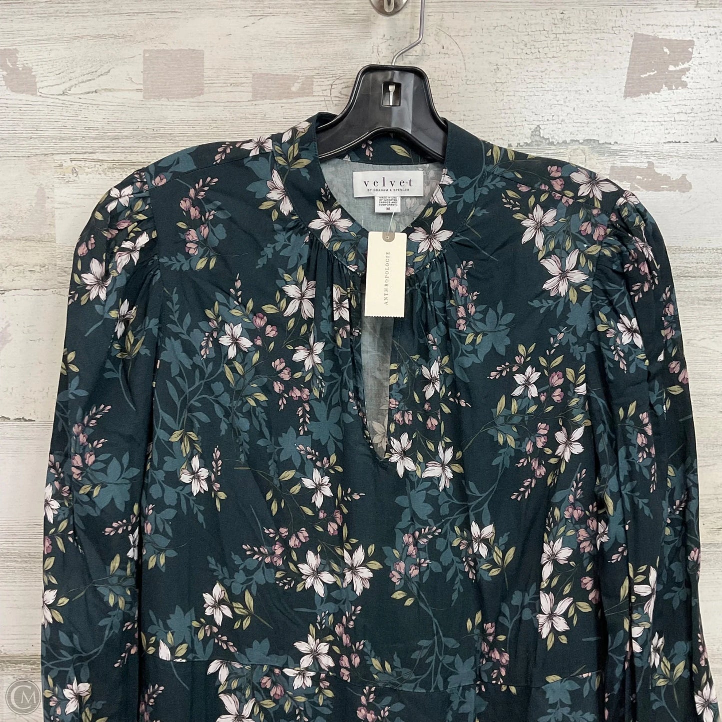 Dress Casual Short By Velvet By Graham & Spencer In Black, Size: M