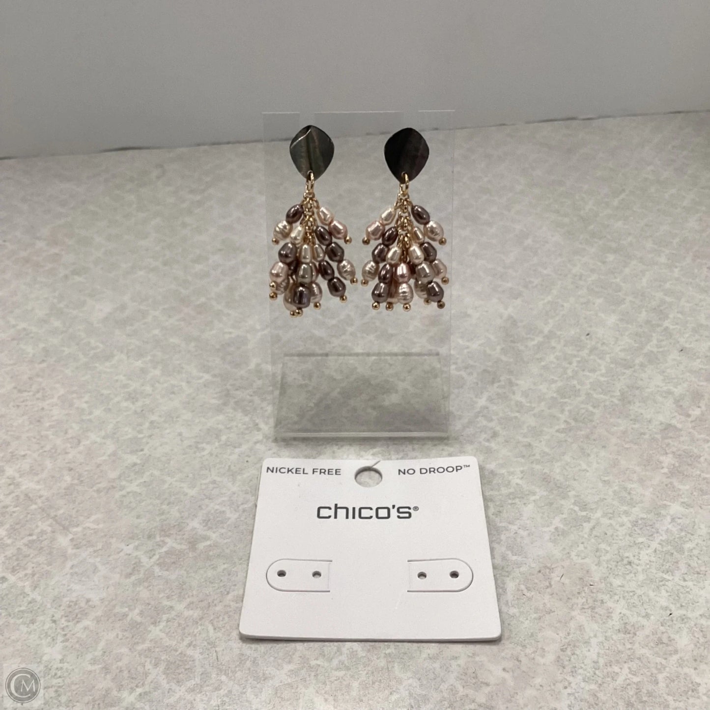 Earrings Dangle/drop By Chicos