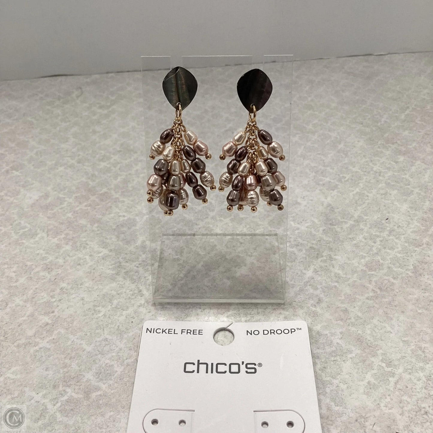Earrings Dangle/drop By Chicos