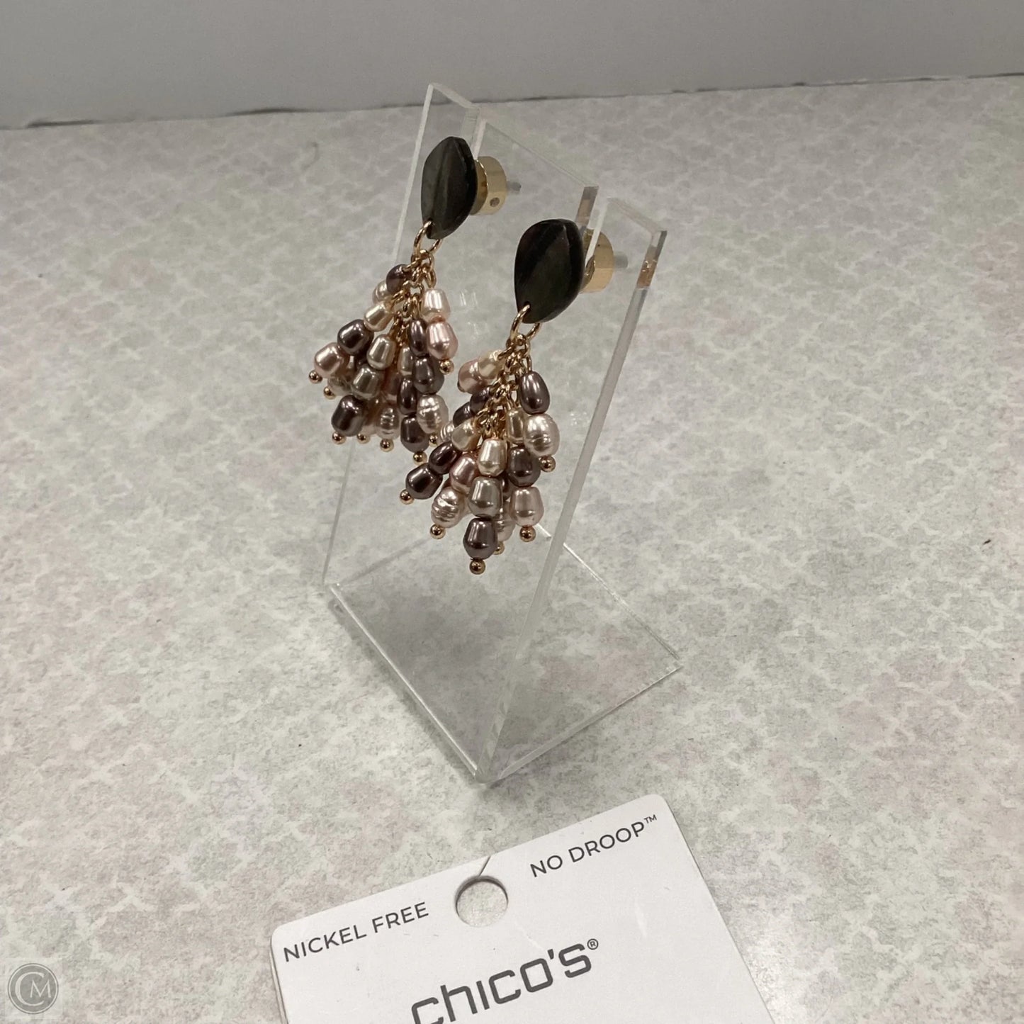 Earrings Dangle/drop By Chicos