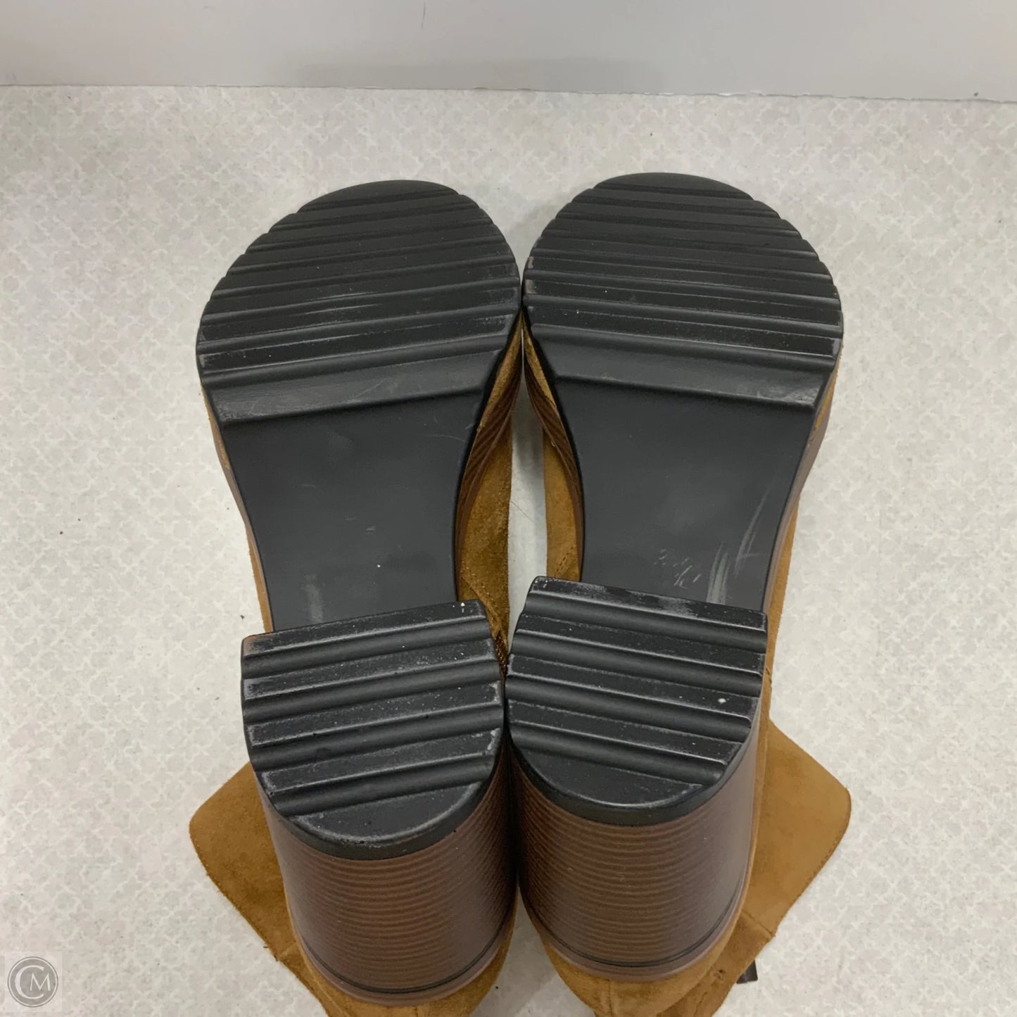 Boots Ankle Heels By Steve Madden In Brown, Size: 10