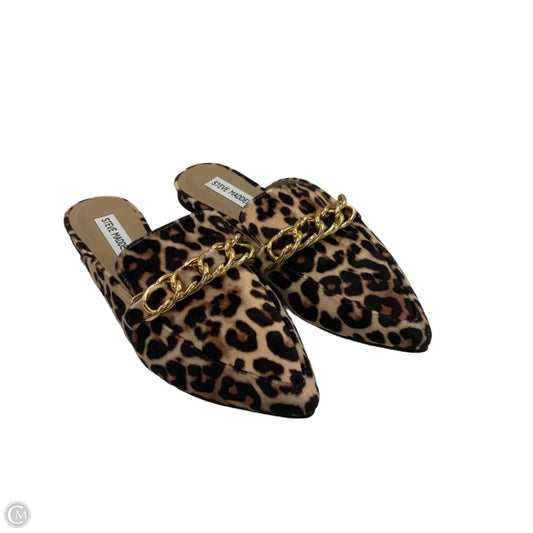 Shoes Flats By Steve Madden In Animal Print, Size: 8.5