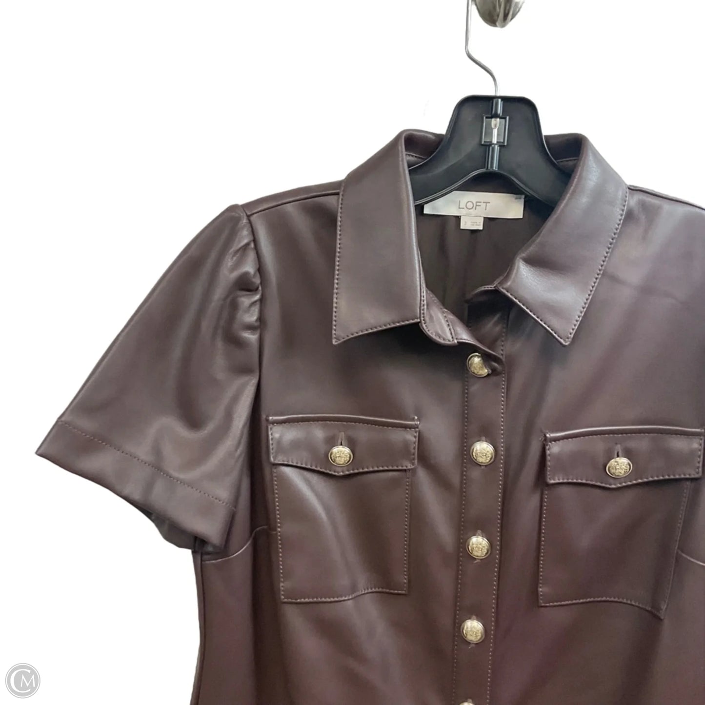 Dress Casual Short By Loft In Brown, Size: Xs