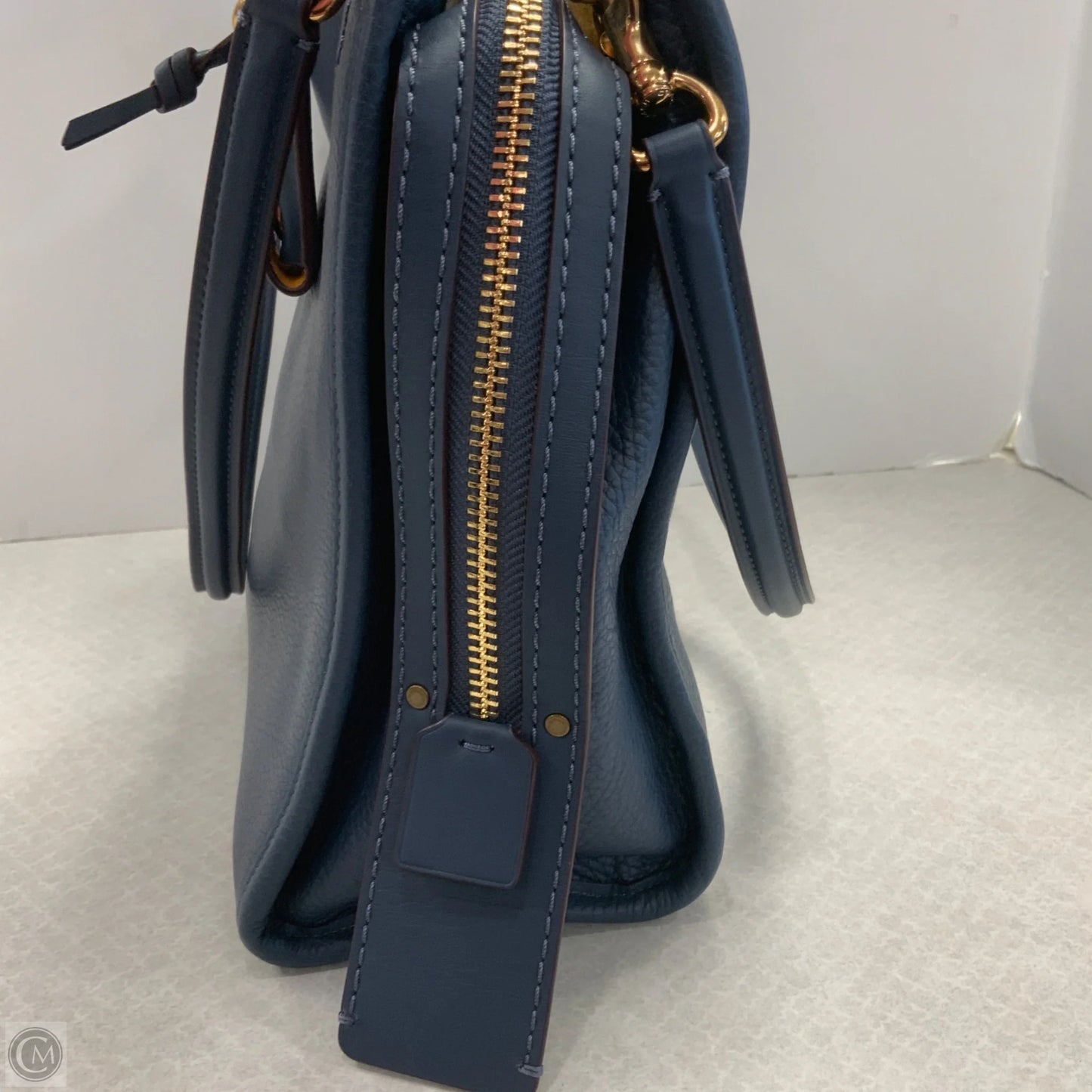 Handbag Designer By Coach, Size: Large